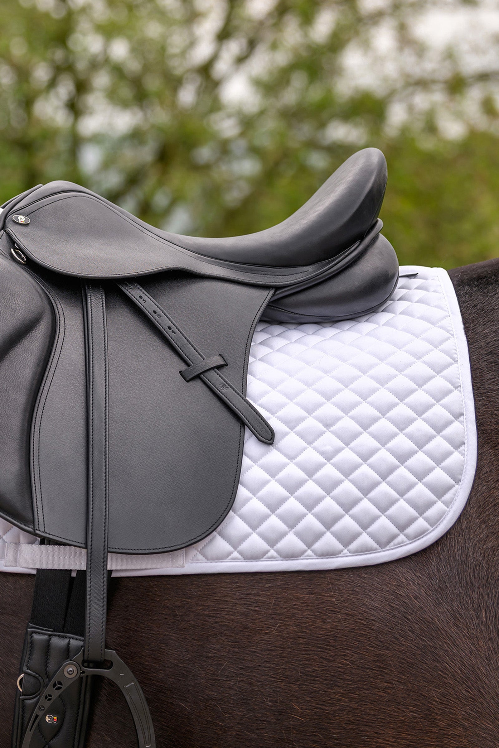 Waldhausen Felix Universal Saddle Pad Saddle Pads