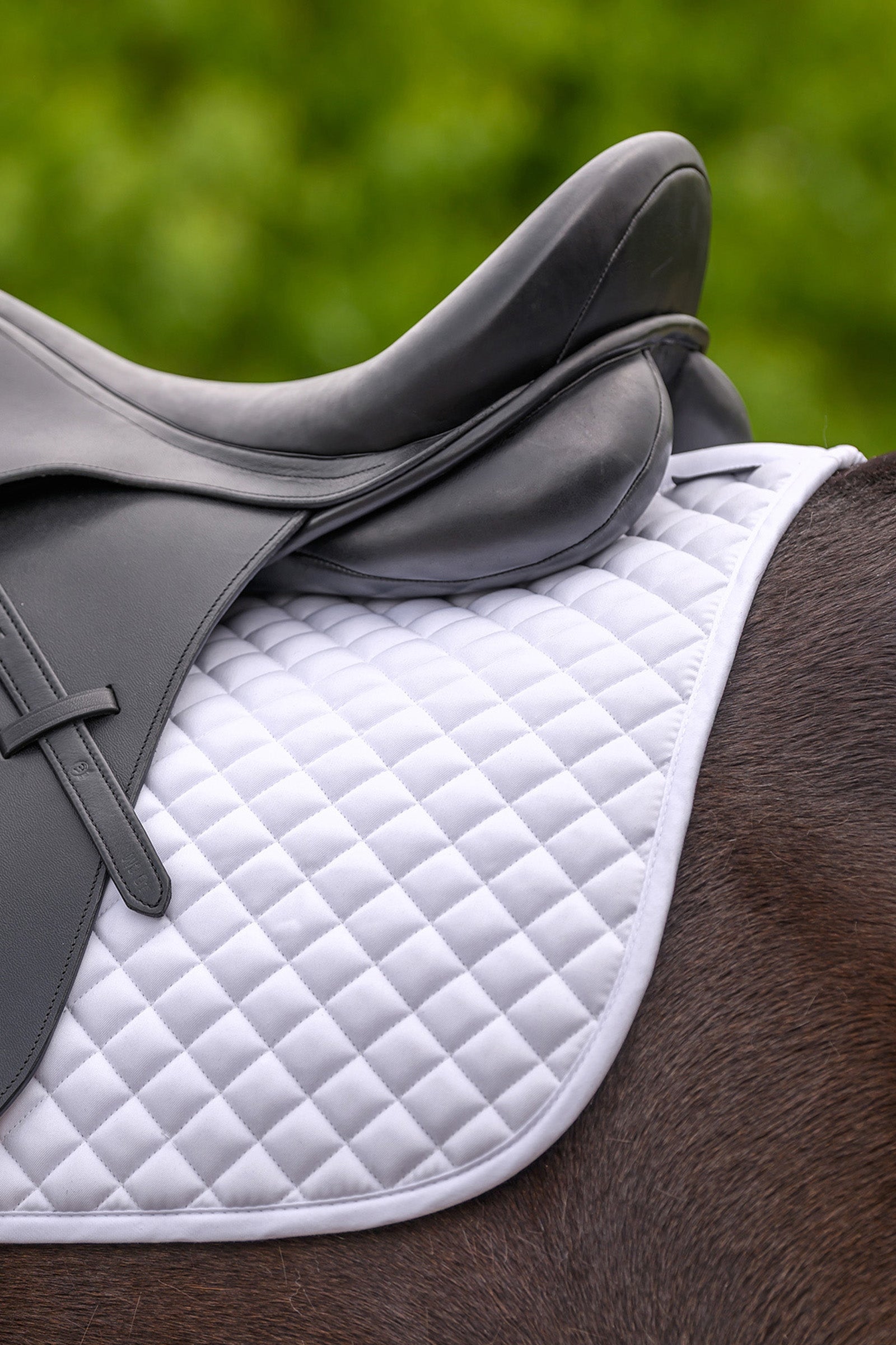 Waldhausen Felix Universal Saddle Pad Saddle Pads