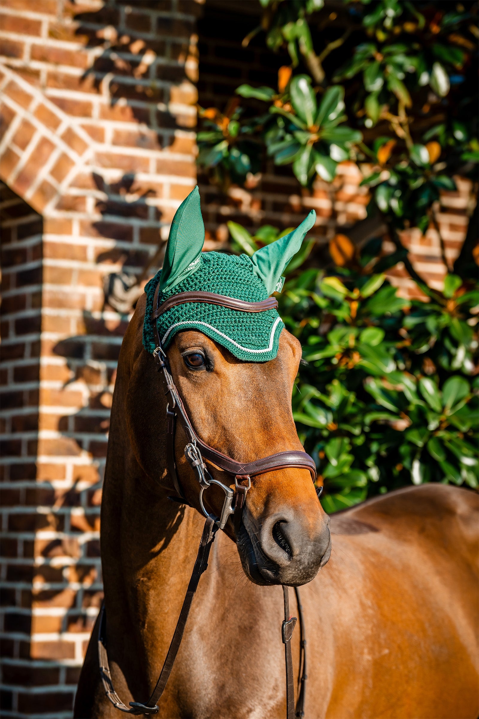 Horseware Signature Ear Net Saddle Pads
