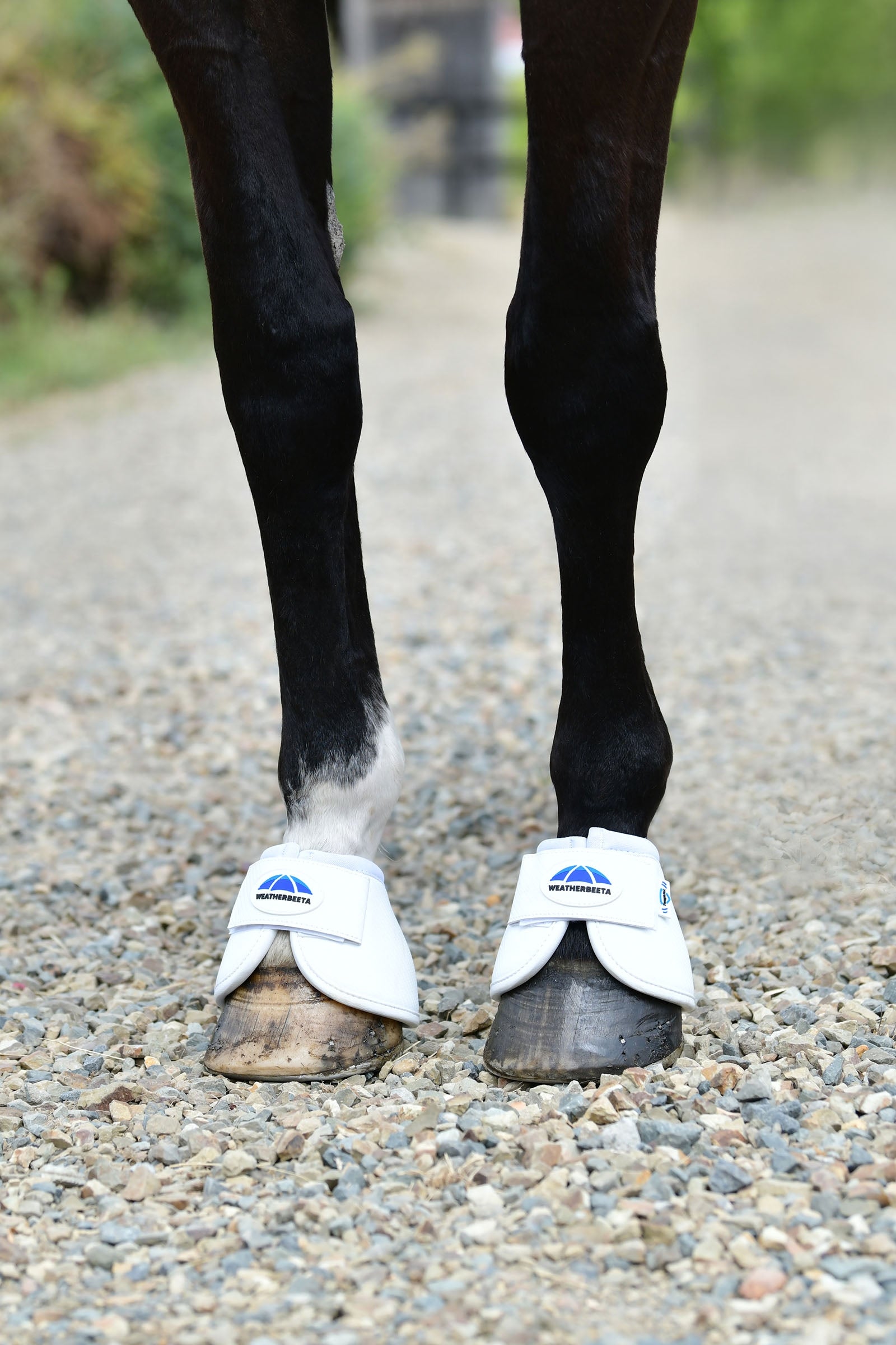 Weatherbeeta Tough-Tec Anatomical Bell Boots Leg & Hoof Protection