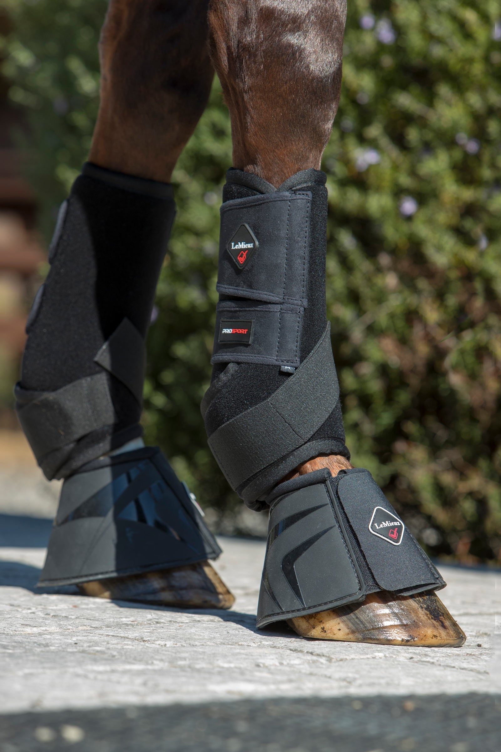LeMieux Ultra Support Boots Leg & Hoof Protection