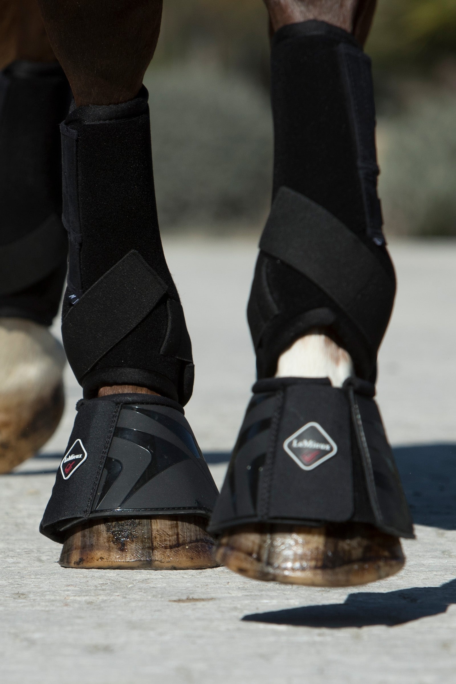 LeMieux Ultra Support Boots Leg & Hoof Protection