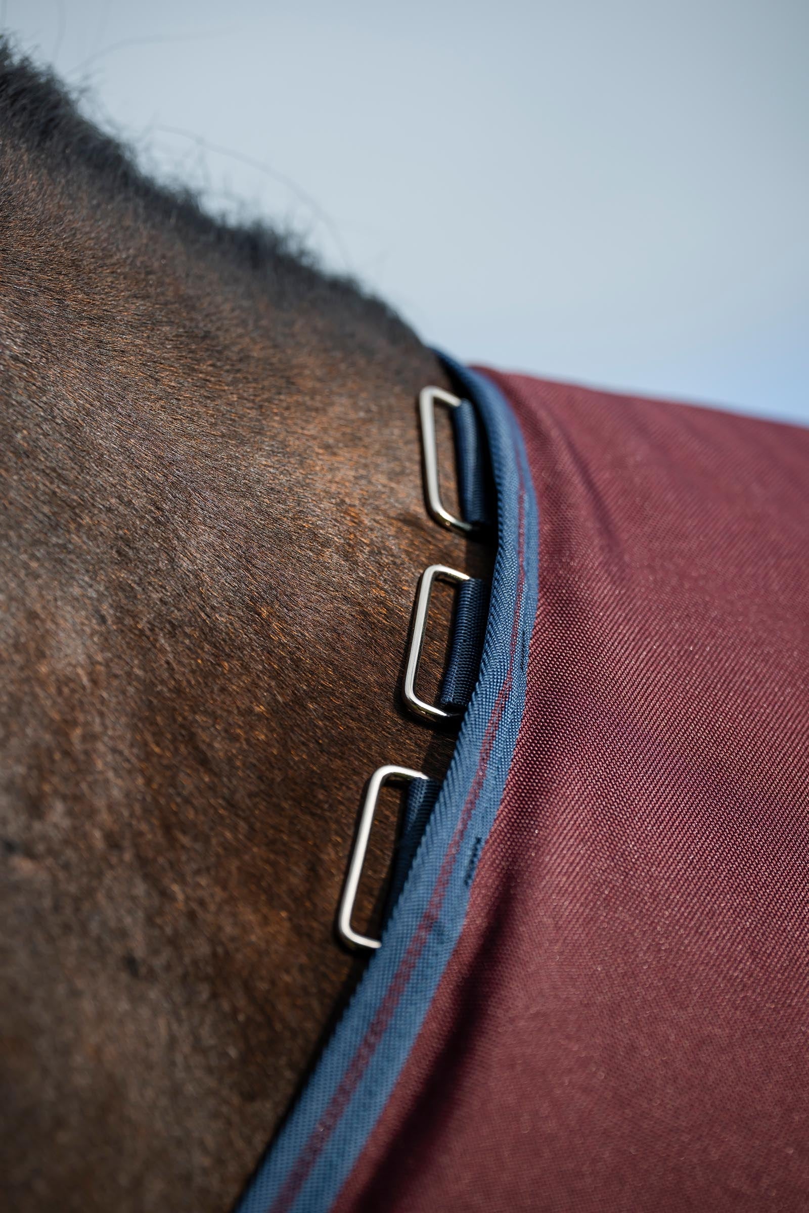 Horseware Amigo Bravo 12 Plus Turnout Rug With Detachable Neck, 400g Horse Rugs