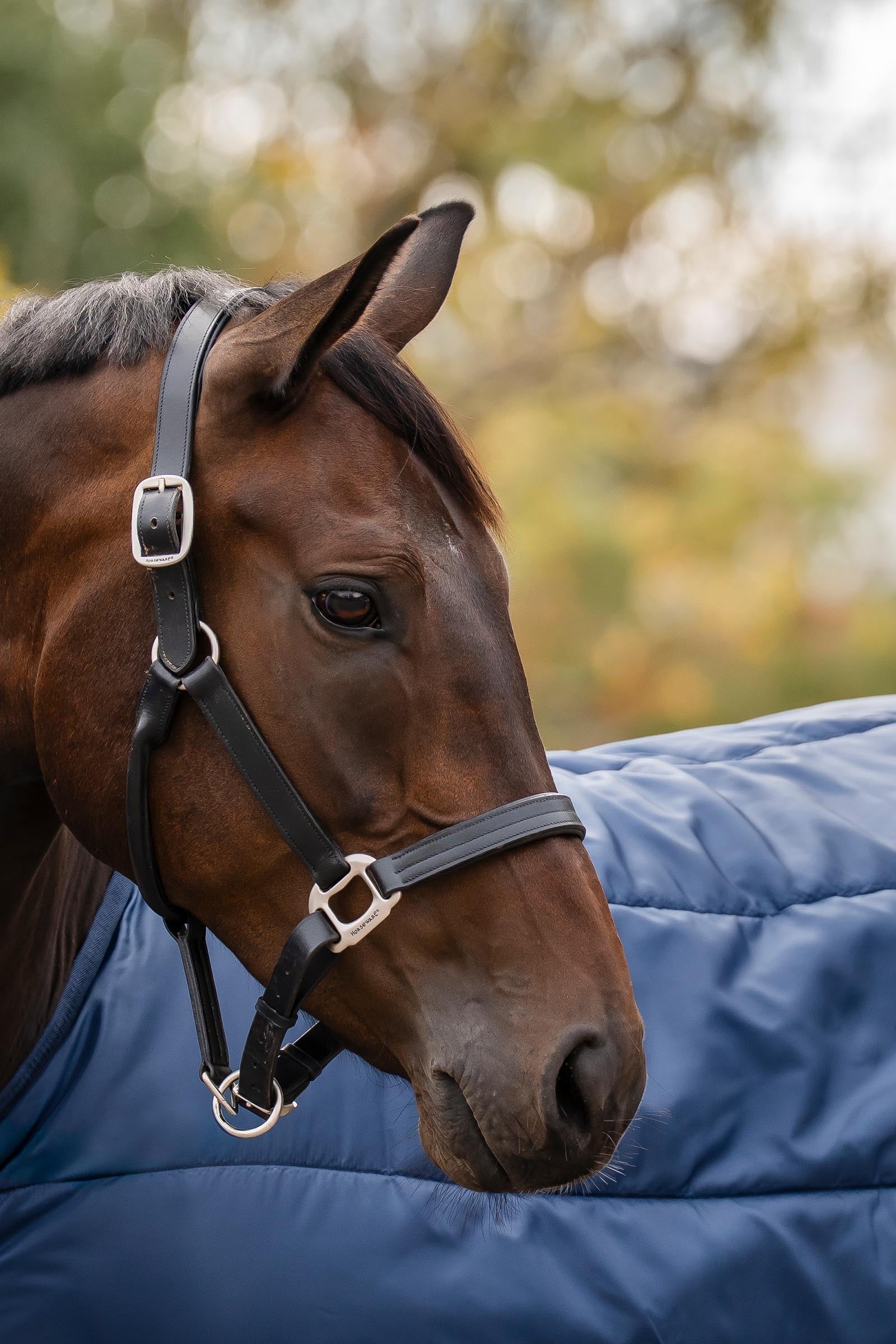 Horseware Liner 50g Horse Rugs