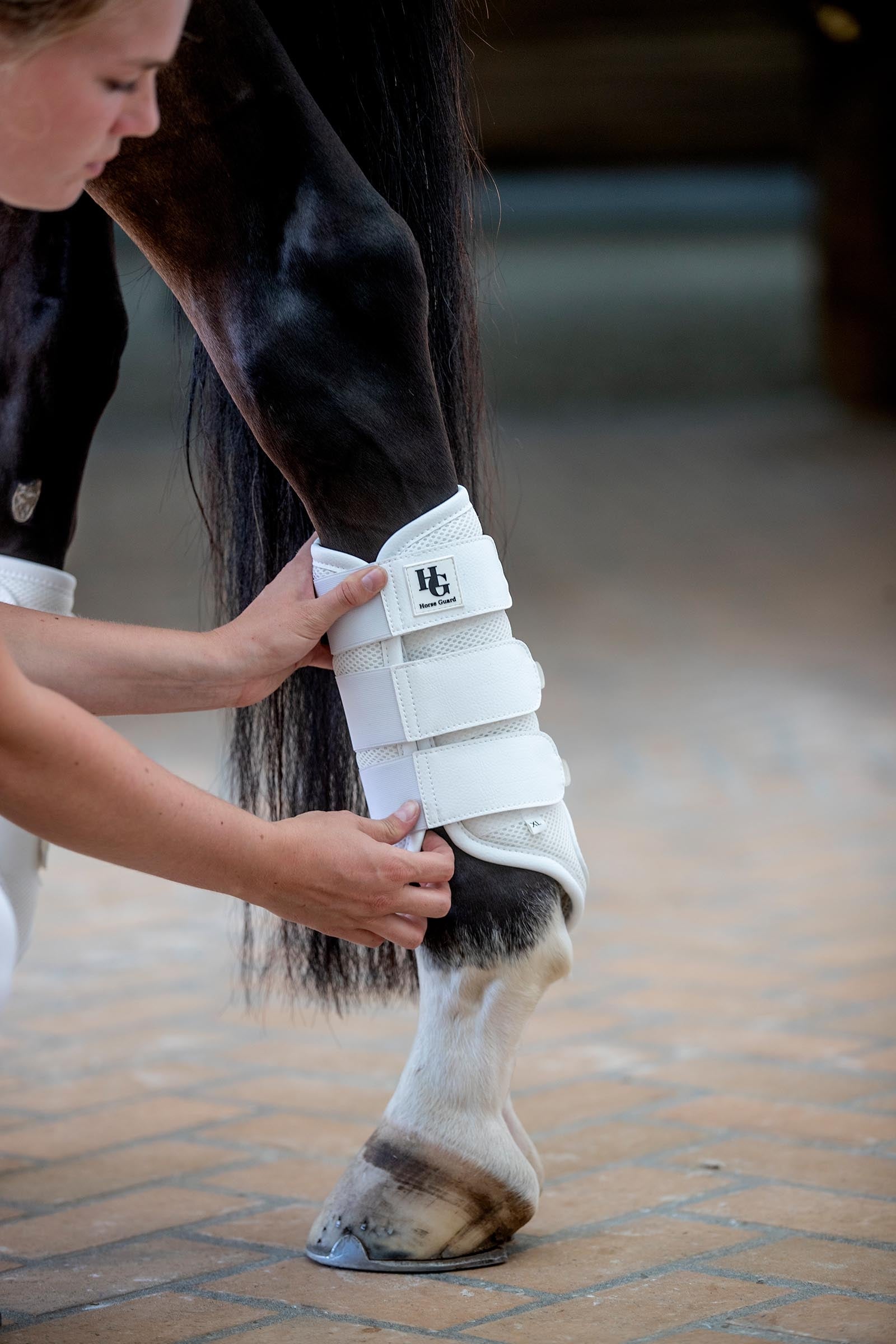 Horse Guard HorseGuard Timothy Mesh Dressage Boots Leg Protection & Hoof Protection for Horses