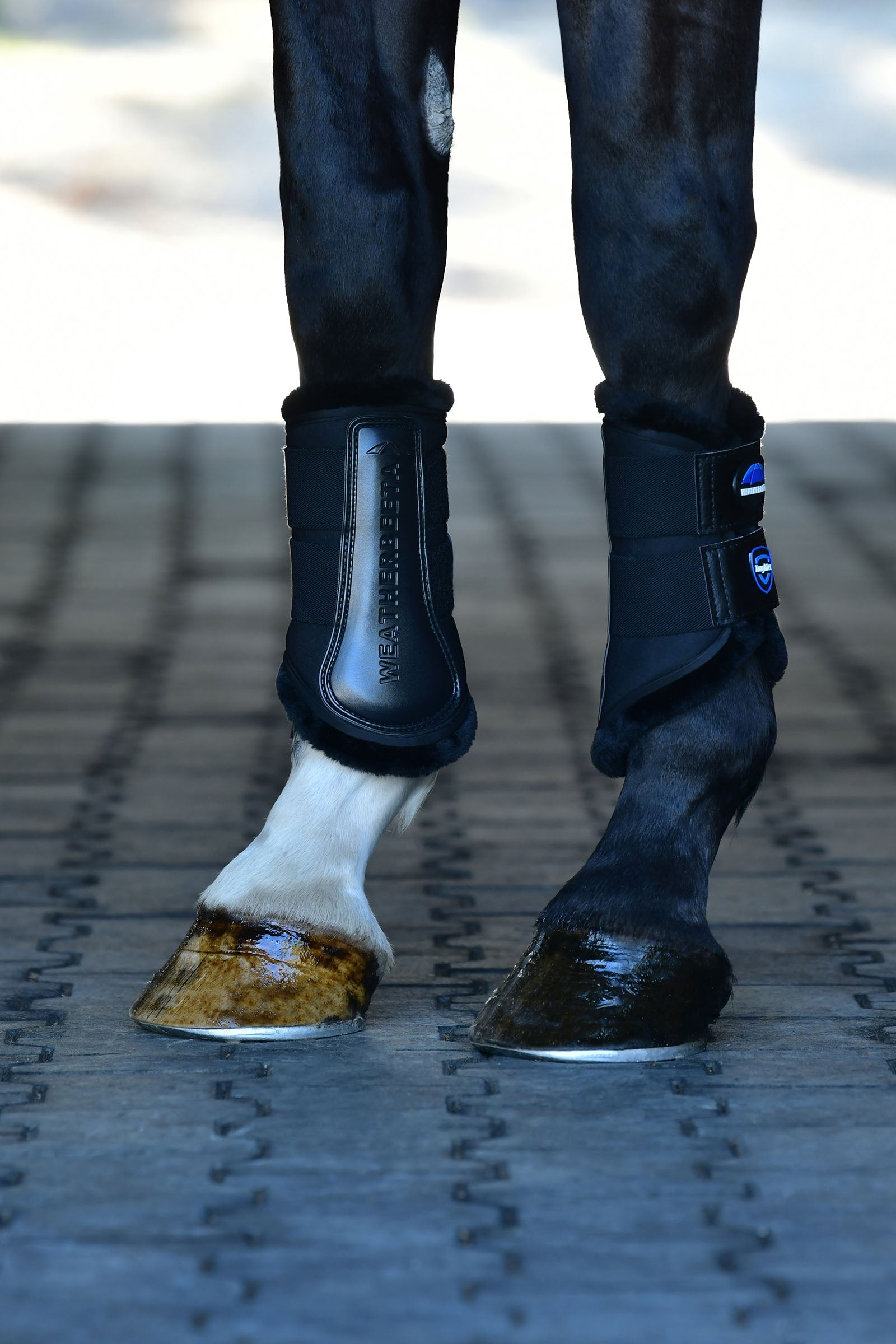 Weatherbeeta Tough-Tec Comfy Fleece Brushing Boots Leg & Hoof Protection
