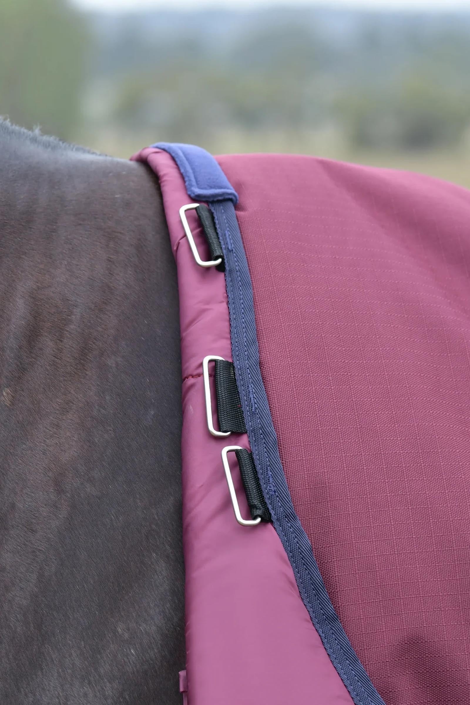 Weatherbeeta ComFiTec Essential Turnout Standard Neck 50G Horse Rugs
