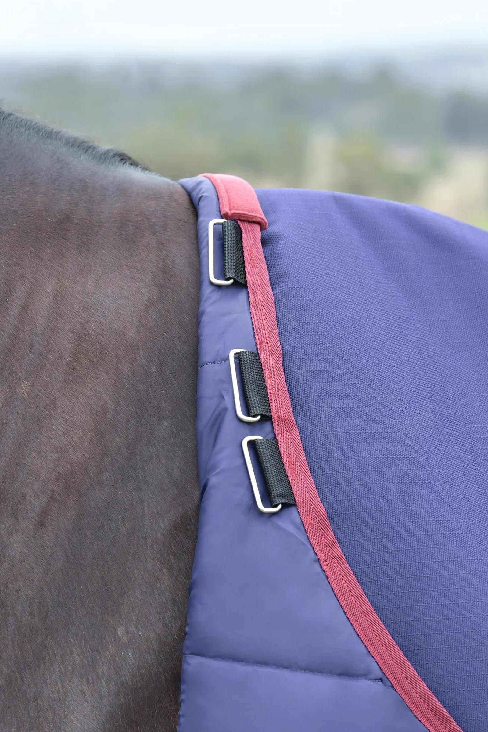 Weatherbeeta ComFiTec Essential Turnout Standard Neck 50G Horse Rugs