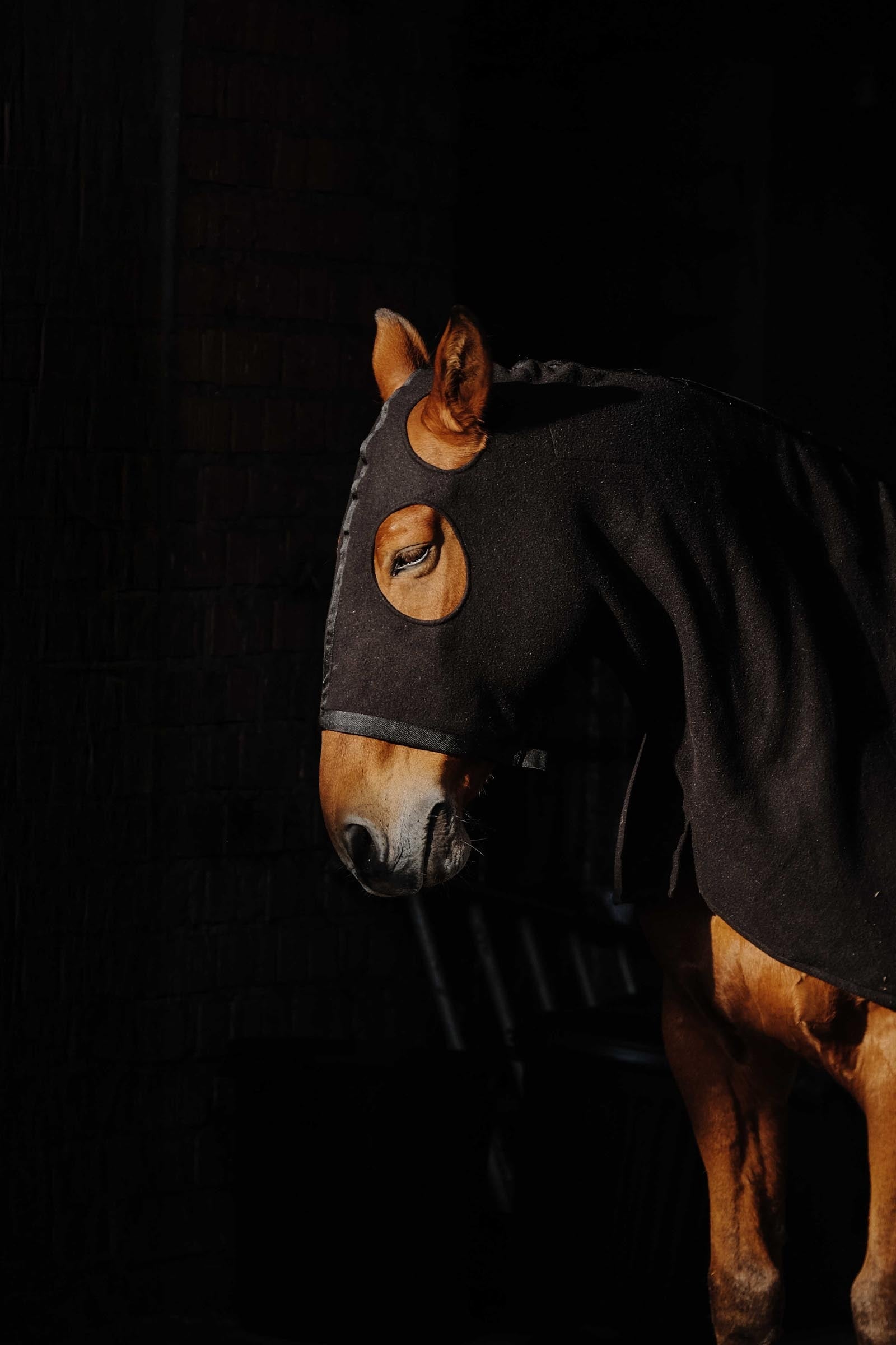 EQUITHÈME Fleece Full Neck Protection Horse Rugs