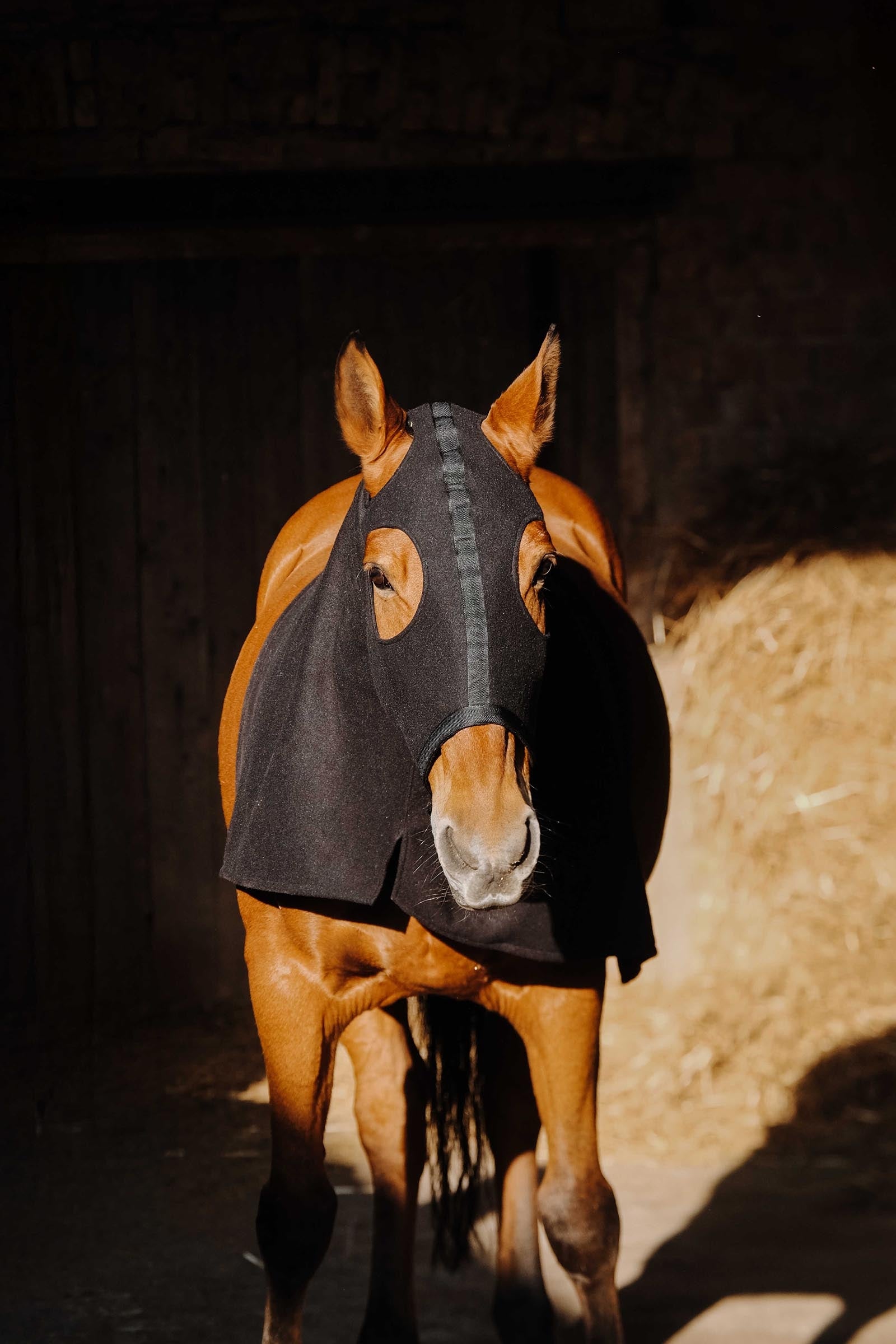 EQUITHÈME Fleece Full Neck Protection Horse Rugs