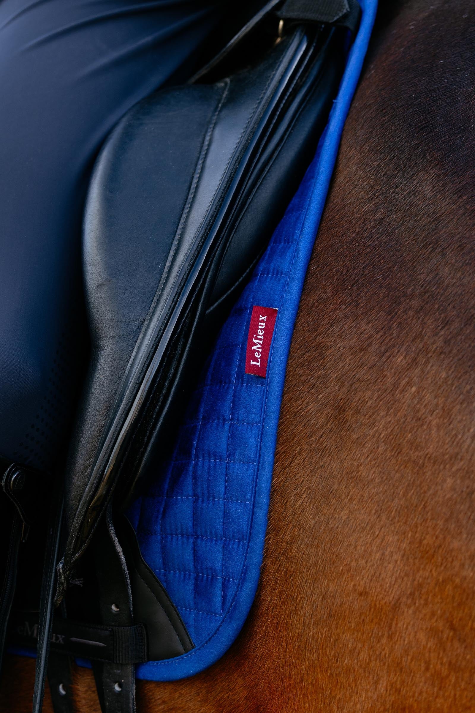 LeMieux Suede Dressage Square Saddle Pad Saddle Pads
