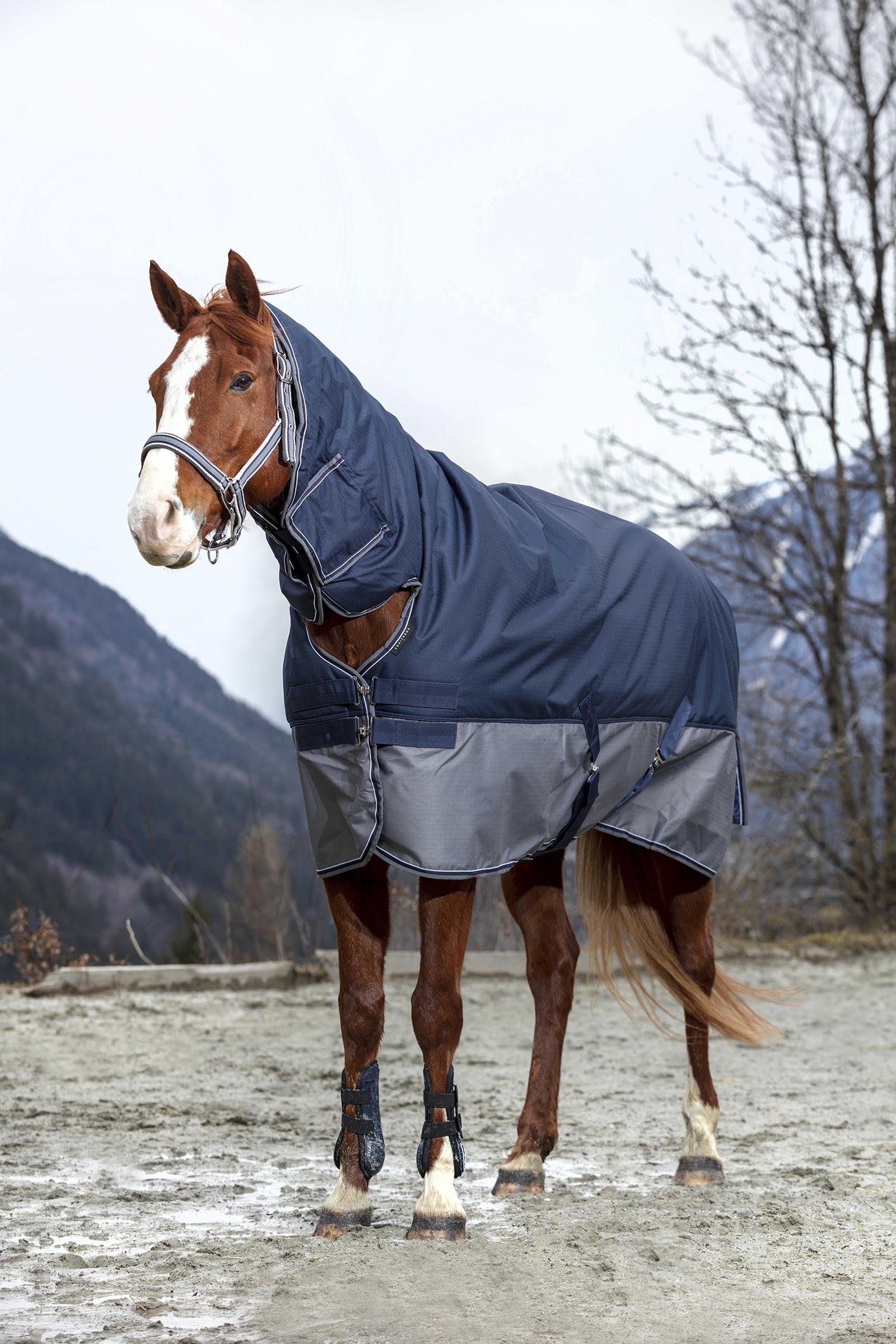 EQUITHÈME TYREX 600D Combo Rug, 200 g Horse Rugs