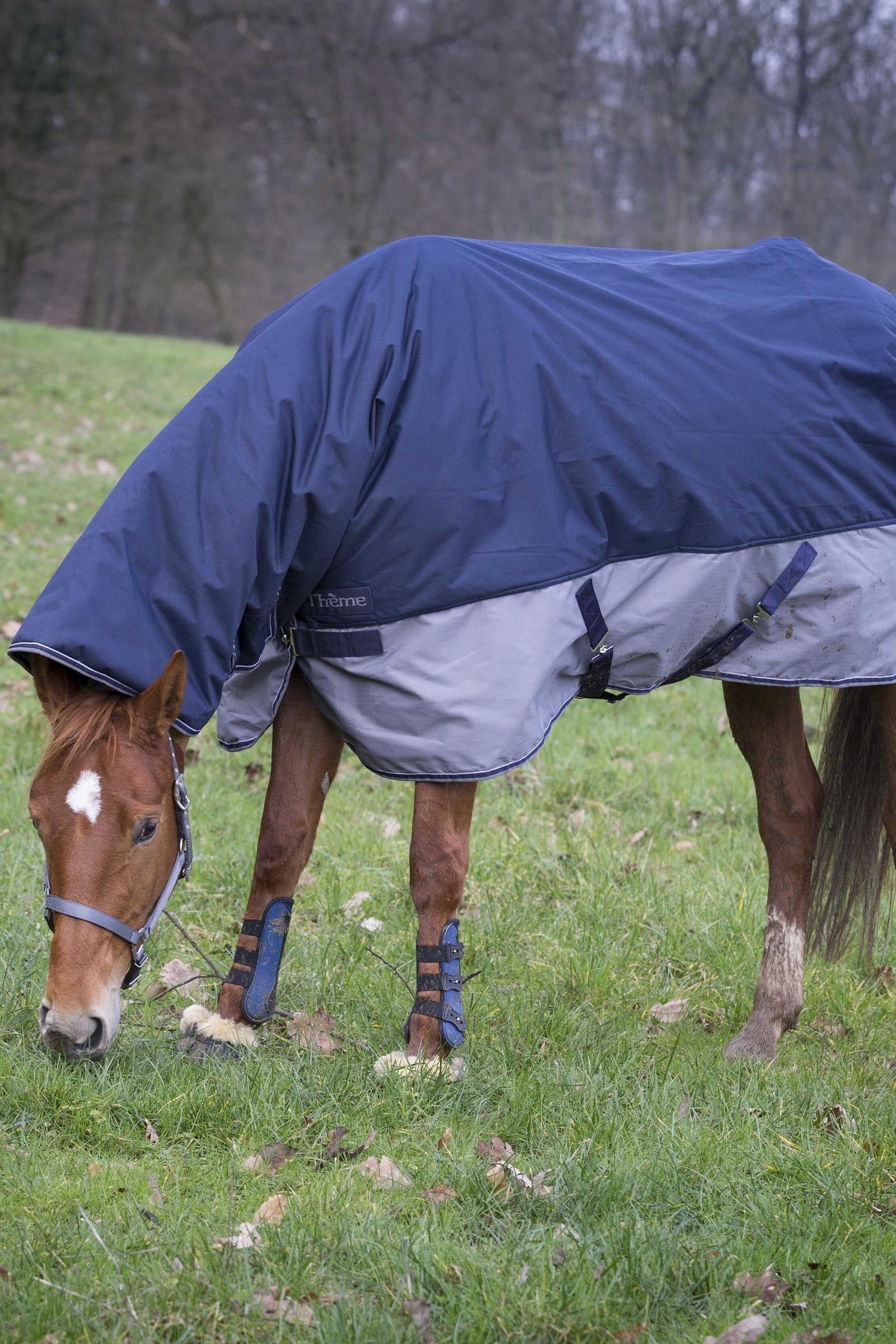 EQUITHÈME TYREX 600D Combo Rug, 200 g Horse Rugs