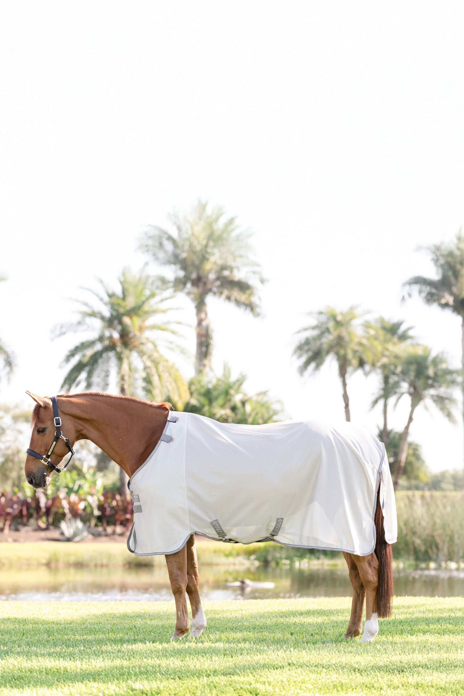 Horseware Amigo Bug Rug With UV-Protection Horse Rugs