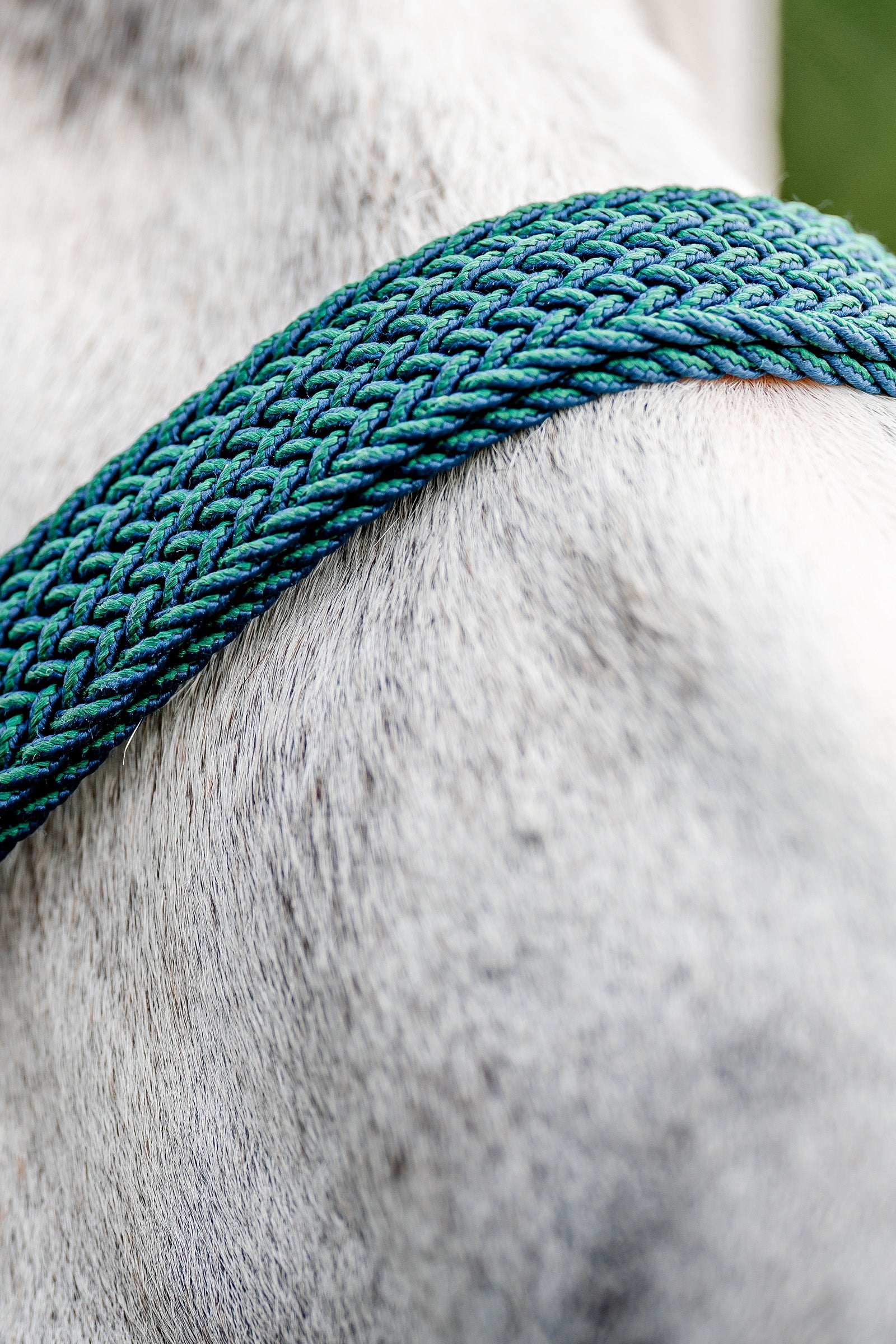 Horseware Signature Braided Headcollar Halters & Leads