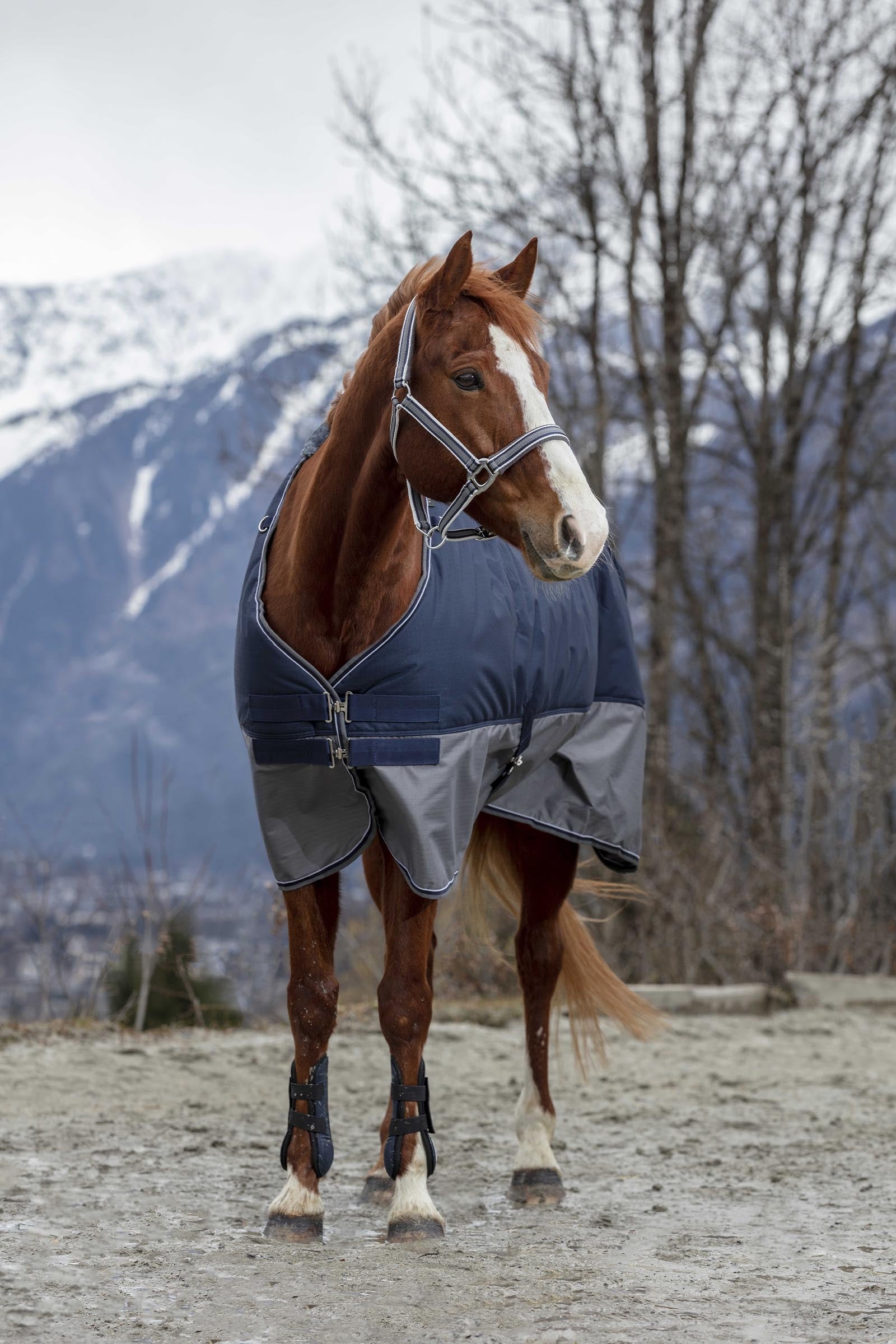 EQUITHÈME TYREX 600D Turnout Rug, 450 g Horse Rugs