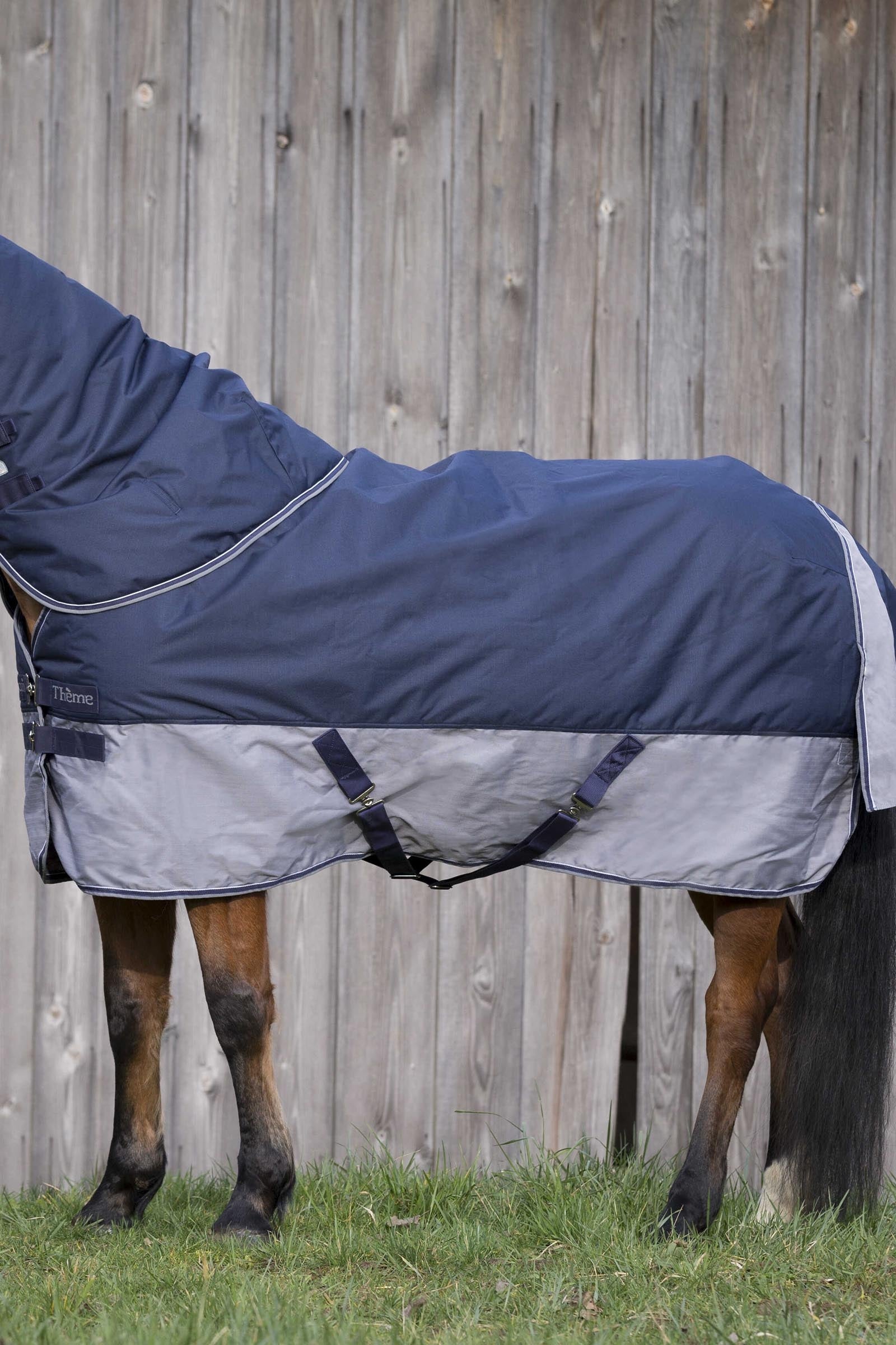 EQUITHÈME TYREX 600D Turnout Rug, 450 g Horse Rugs