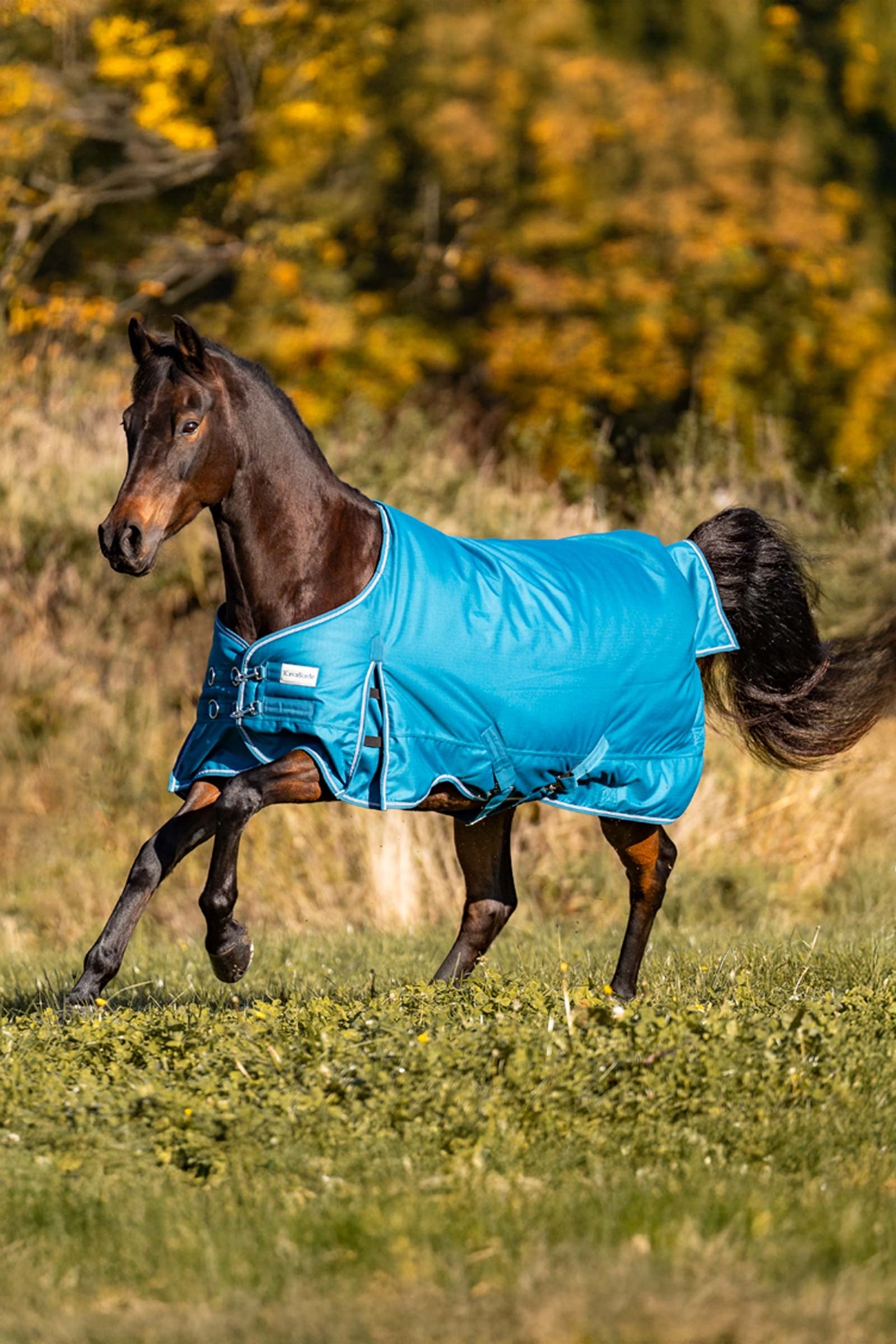 Kavalkade Alaska IV Turnout Rug, 100 g Horse Rugs