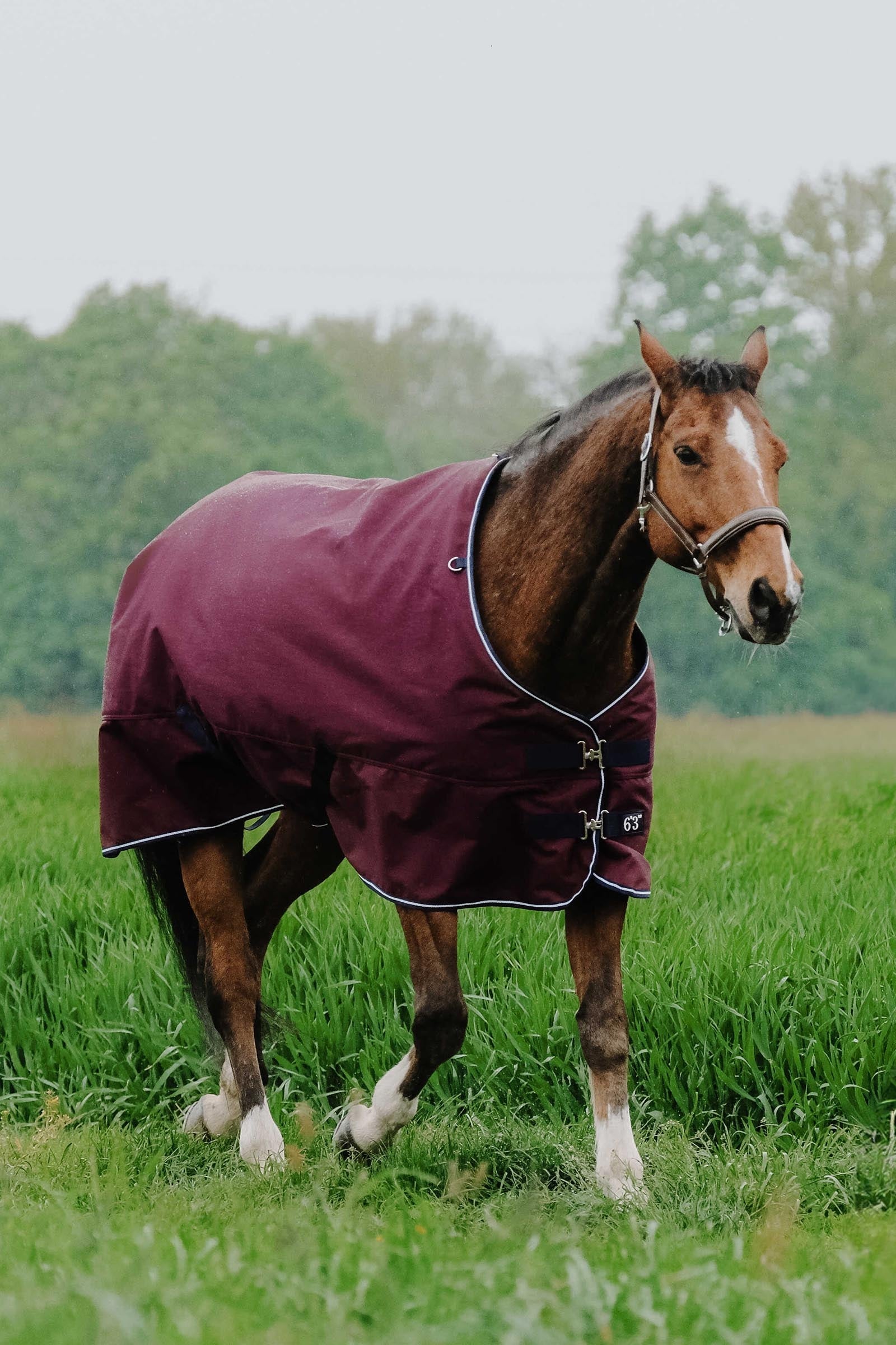 EQUITHÈME TYREX 1200D Turnout Rug, 50 g Horse Rugs