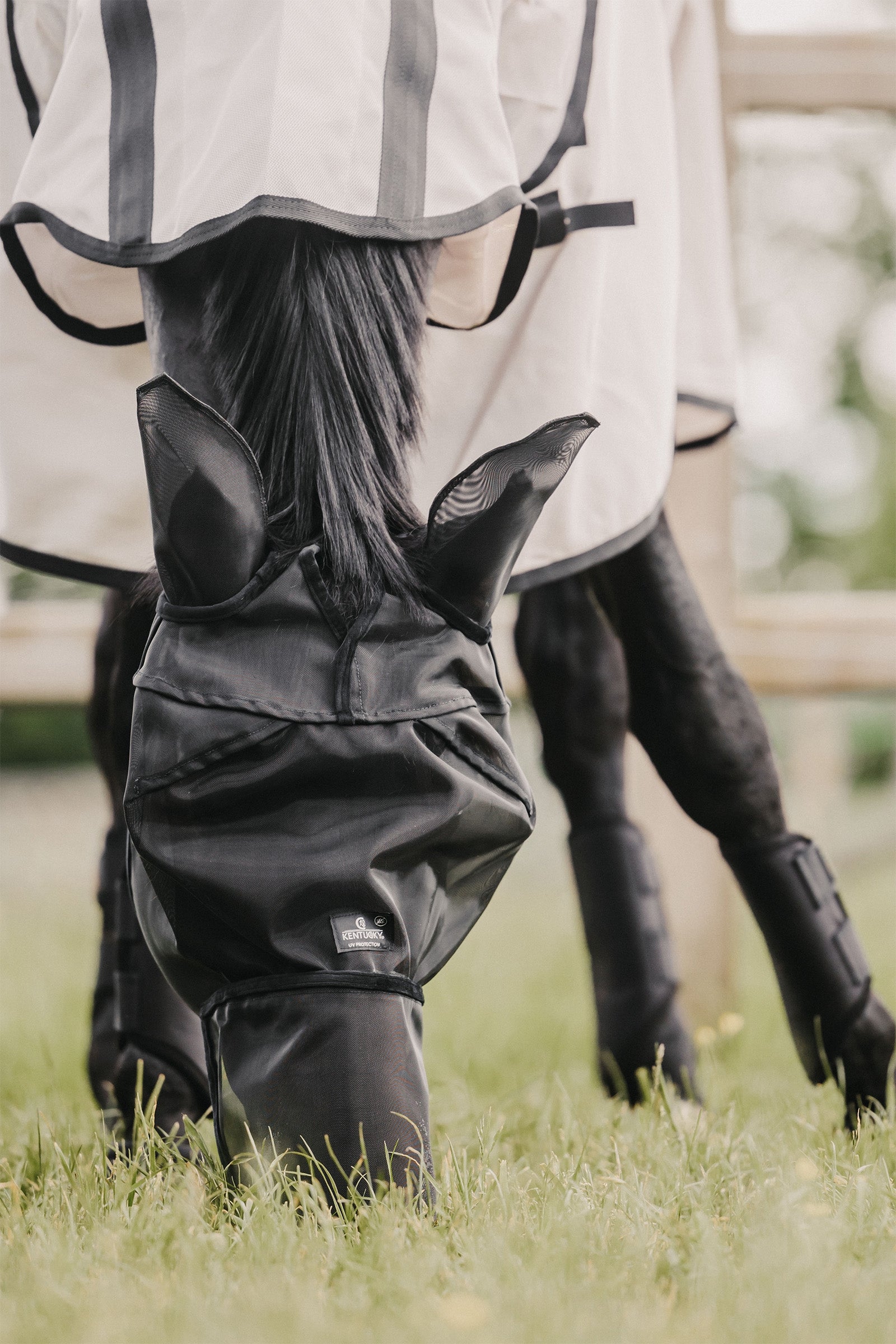 Kentucky Horsewear Fly Mask Classic with Ears and Nose Antifly Protection for Horses