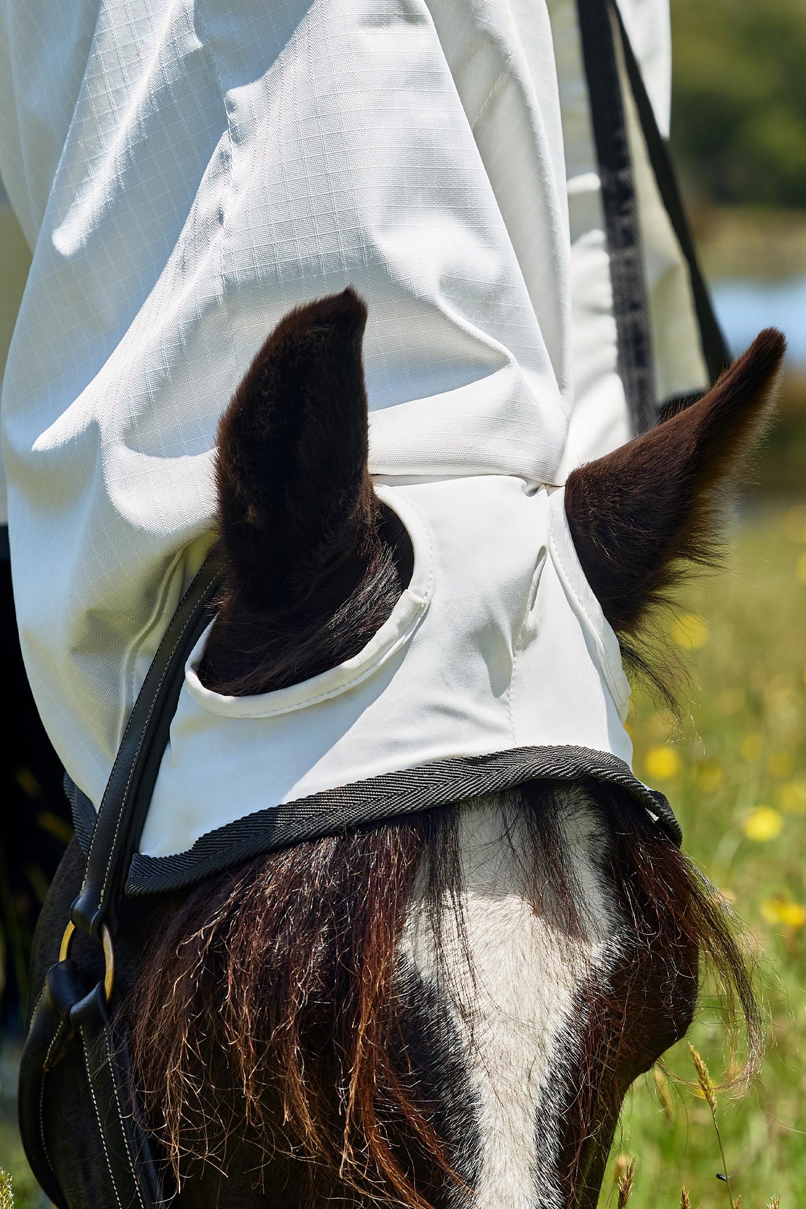 Lifestyle shot 7