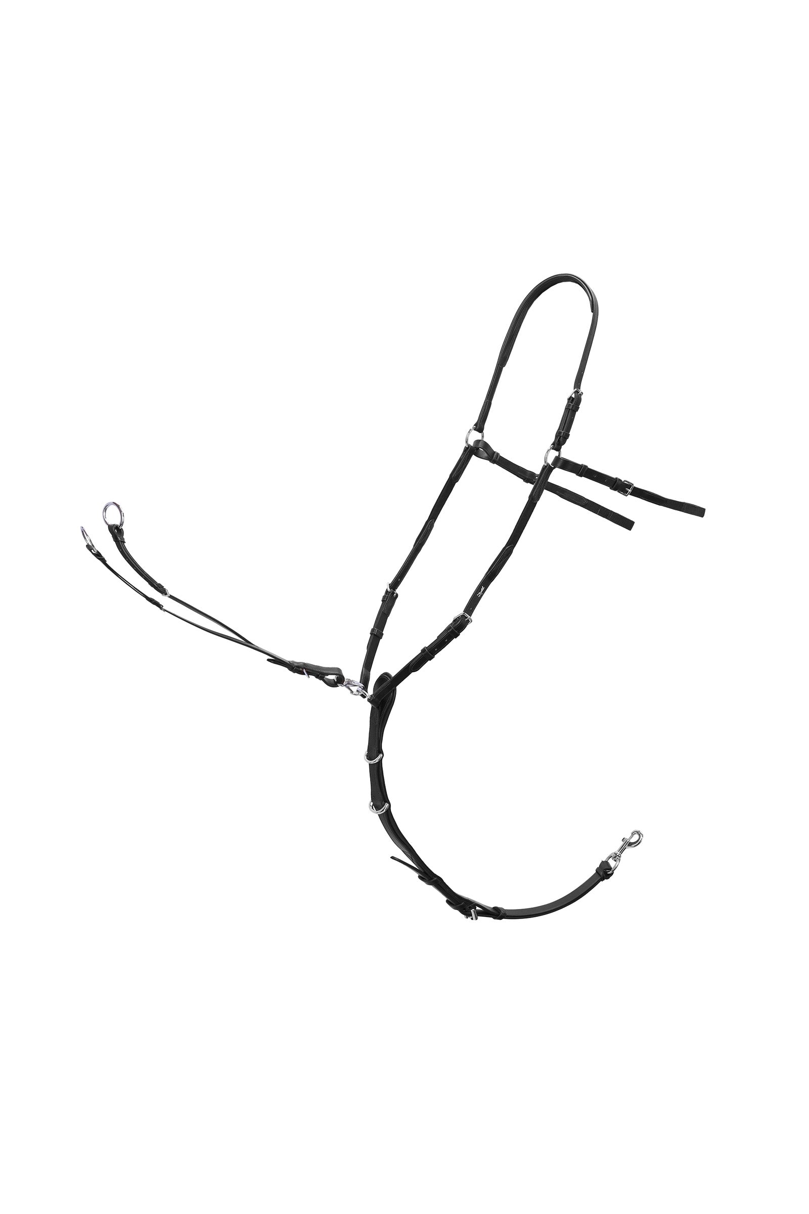 Alt Tag fallback text for IMAGE