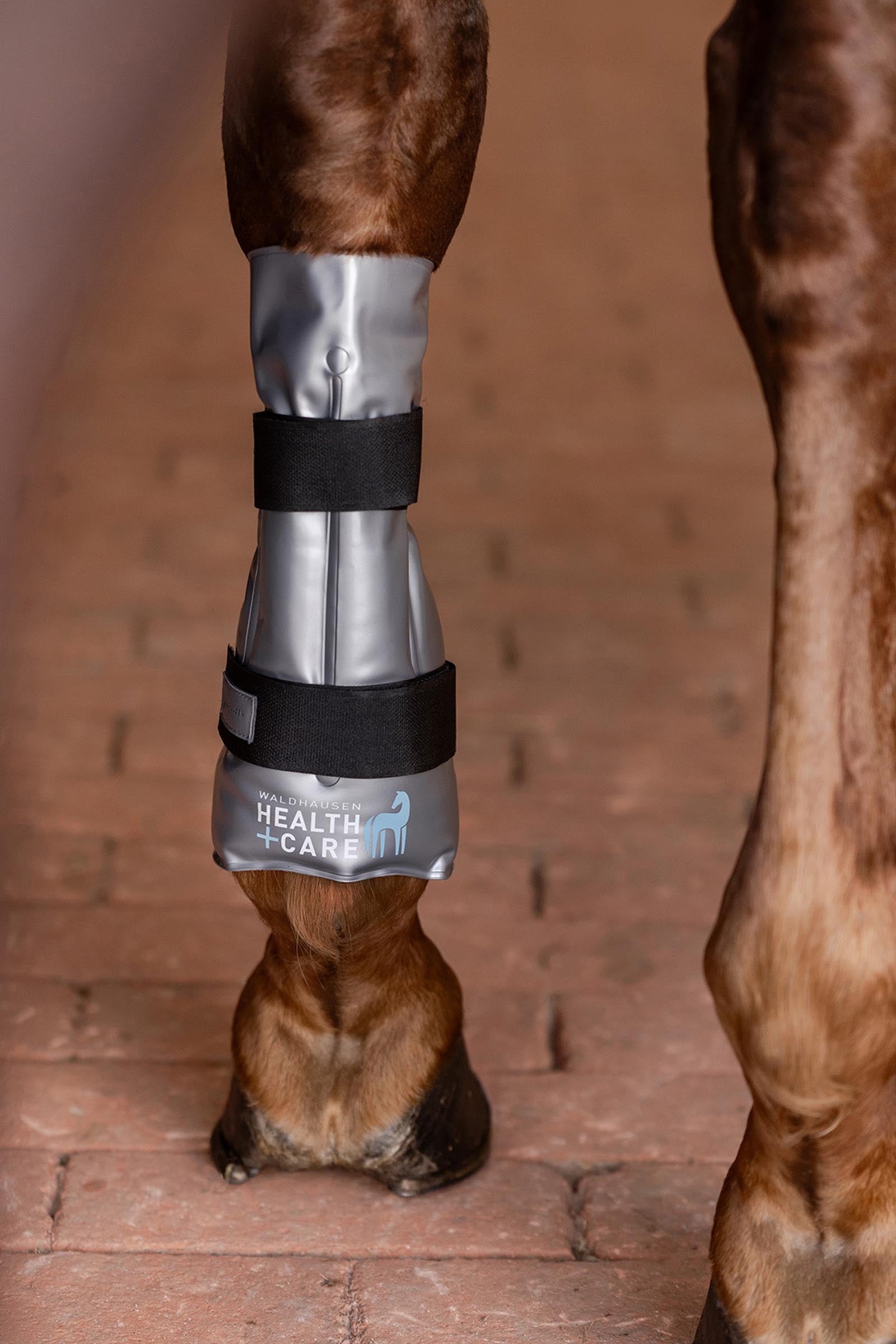 Waldhausen Cooling or Warming Tendon Boot Hot-Chilly Leg Leg & Hoof Protection