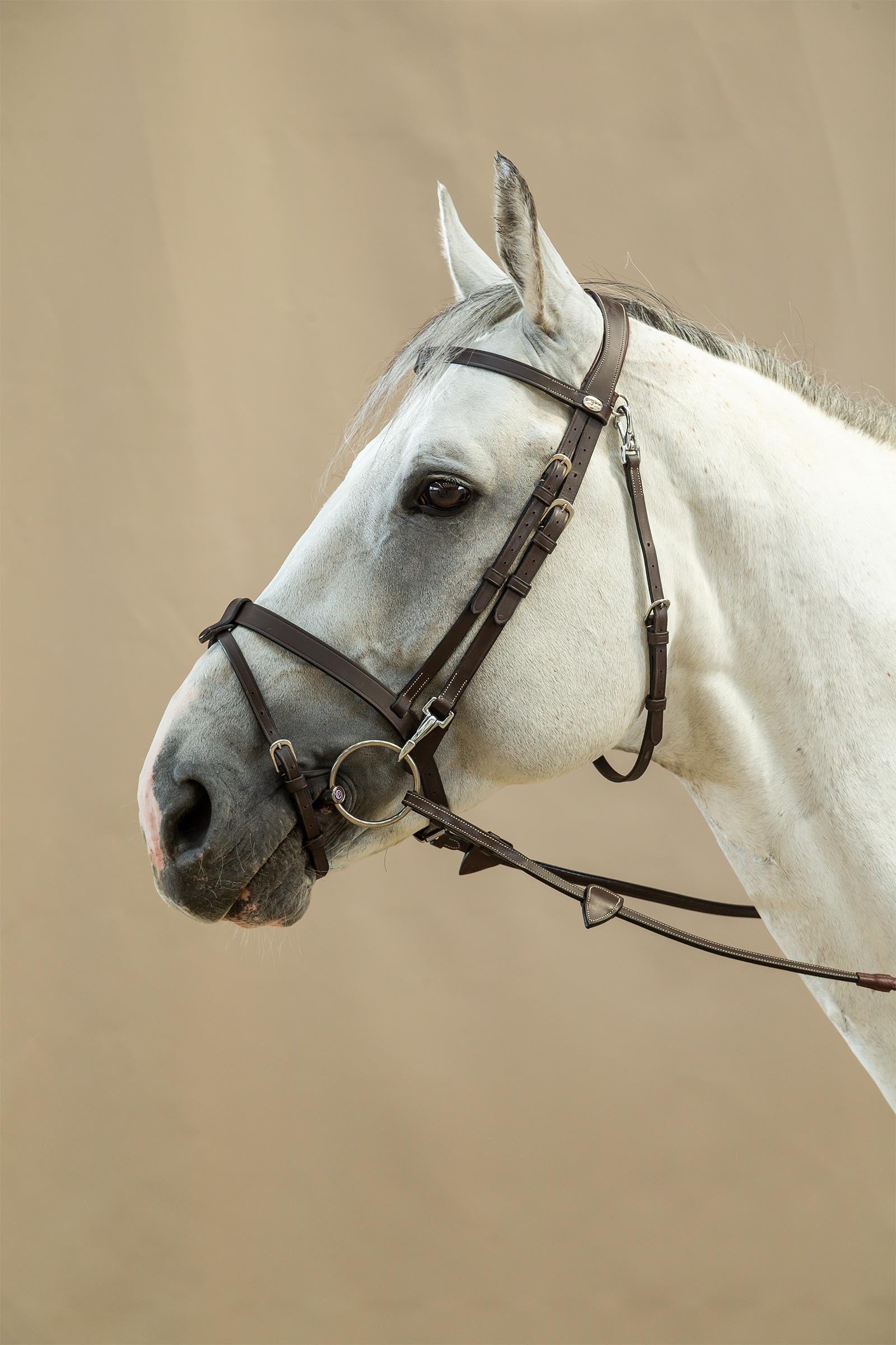 Dy'on Working Flat Leather Bridle With Snap Hooks  Bridles & Reins