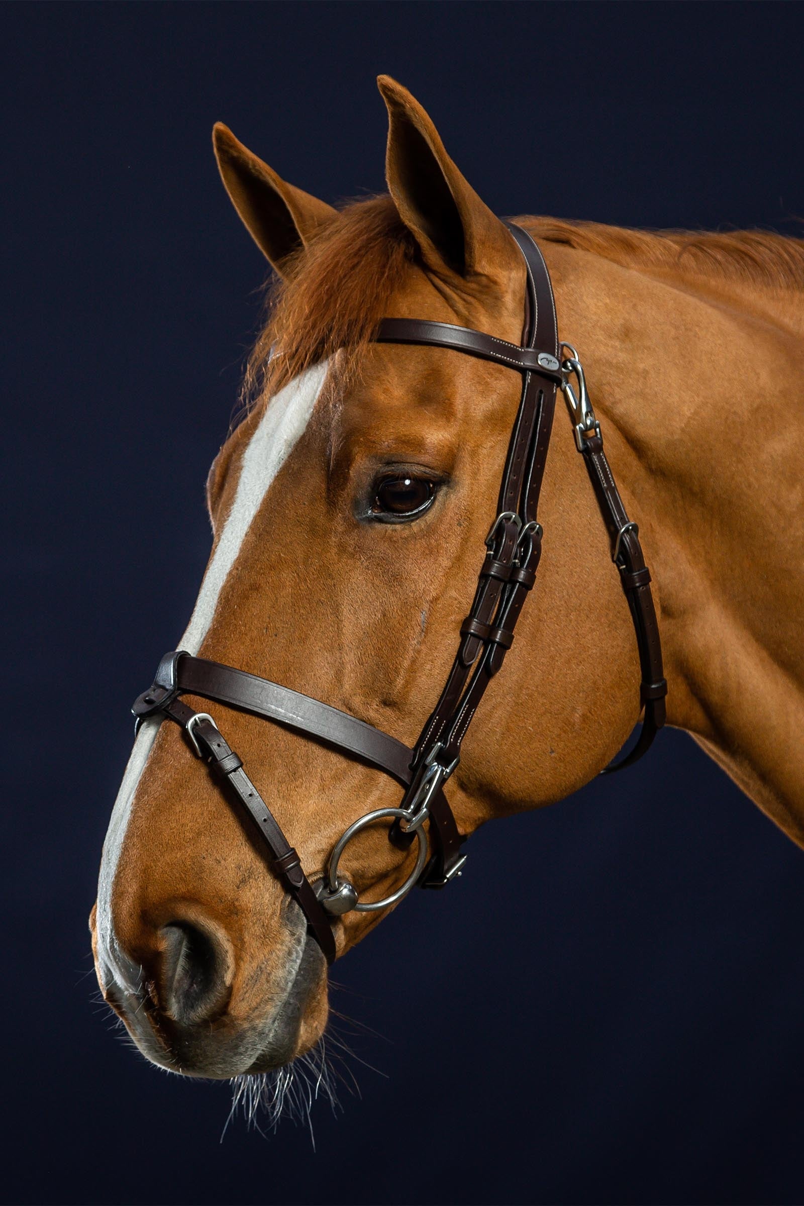 Dy'on Working Flat Leather Bridle With Snap Hooks  Bridles & Reins