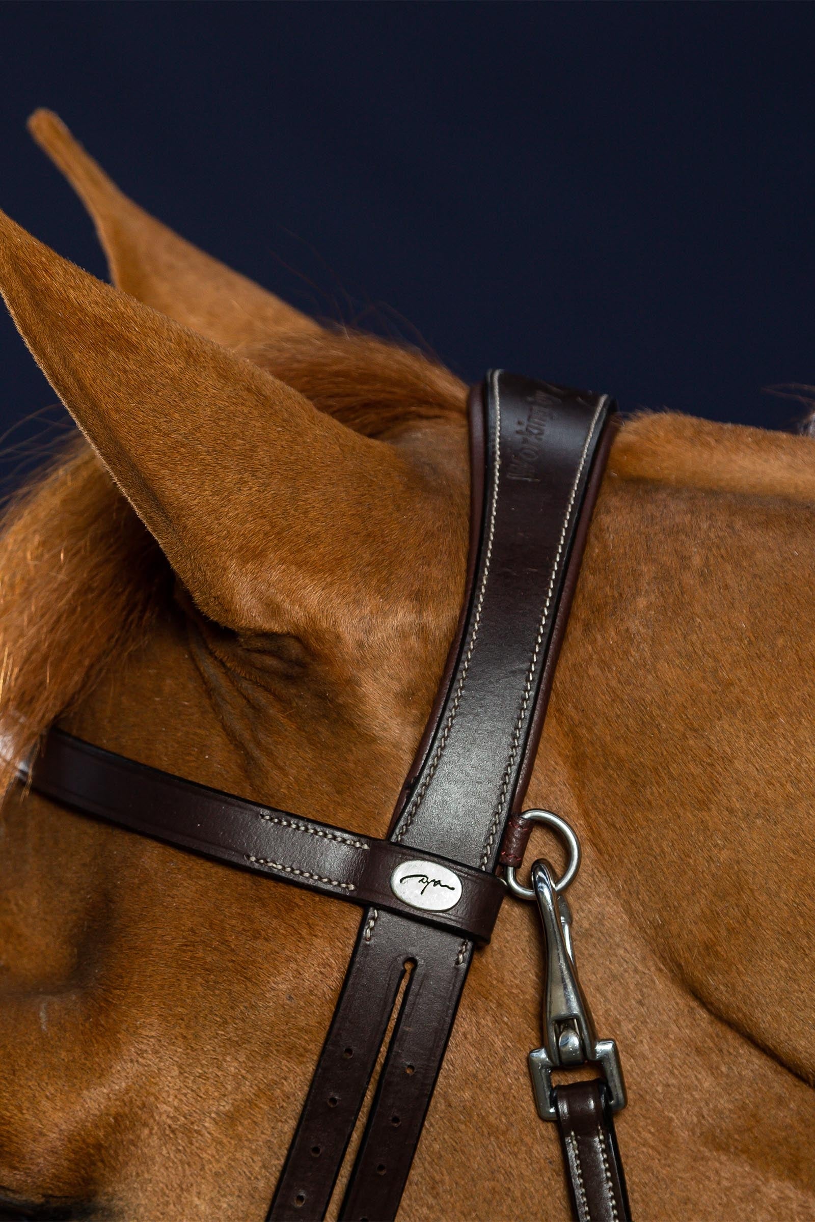 Dy'on Working Flat Leather Bridle With Snap Hooks  Bridles & Reins