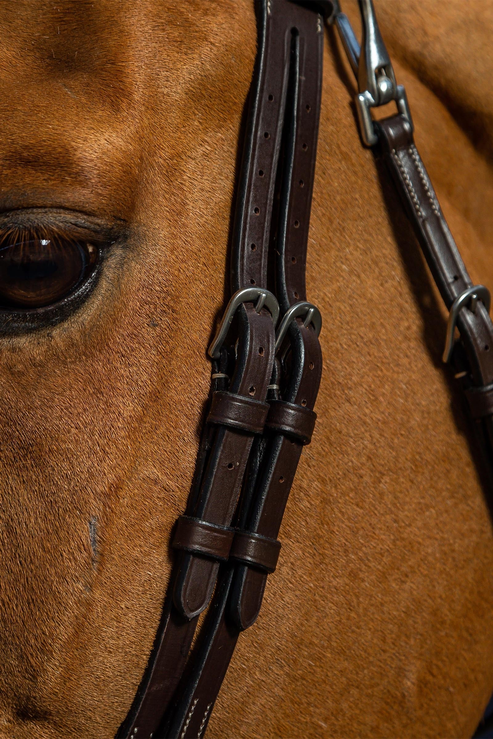 Dy'on Working Flat Leather Bridle With Snap Hooks  Bridles & Reins