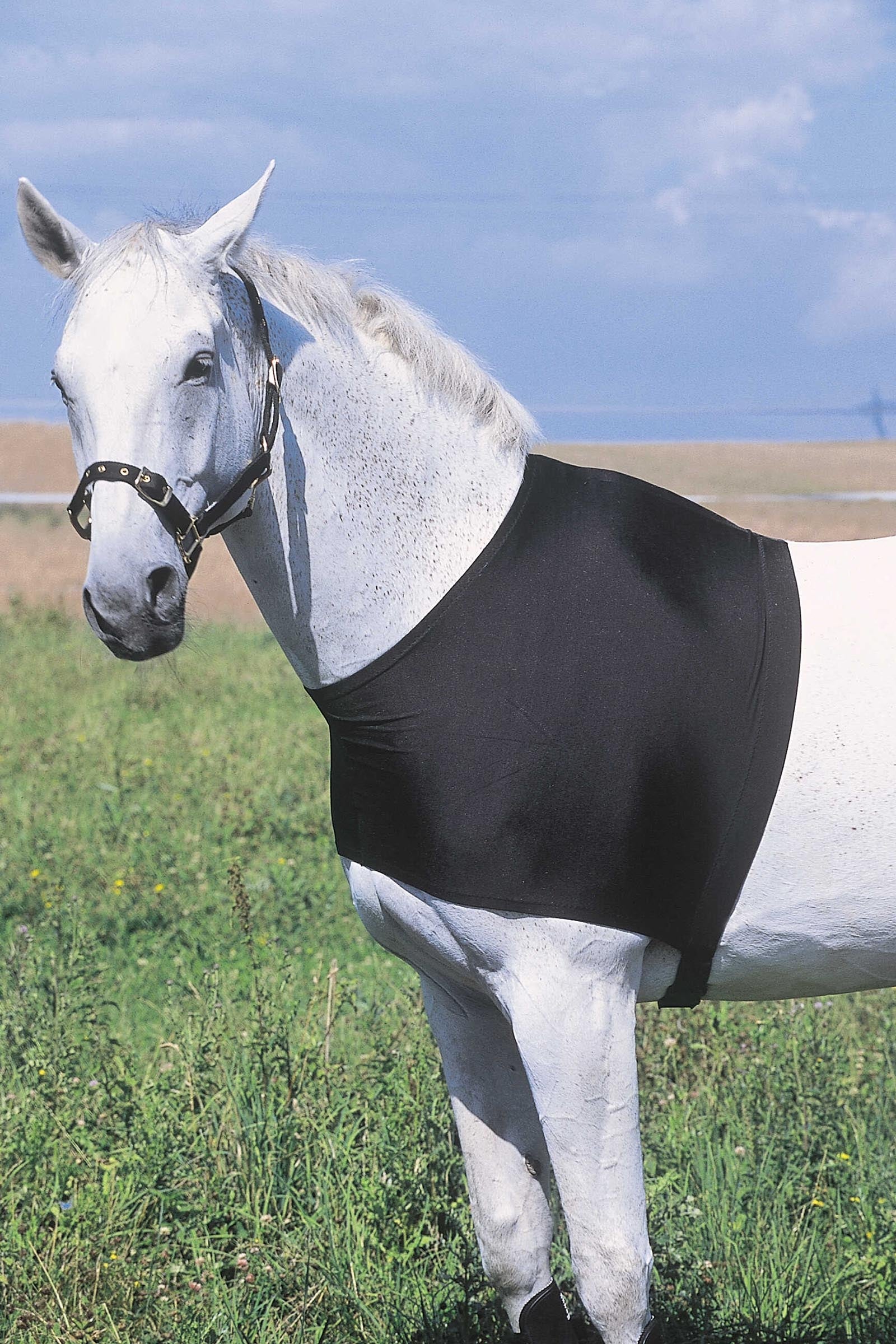 EQUITHÈME Shoulder Protection Horse Rugs