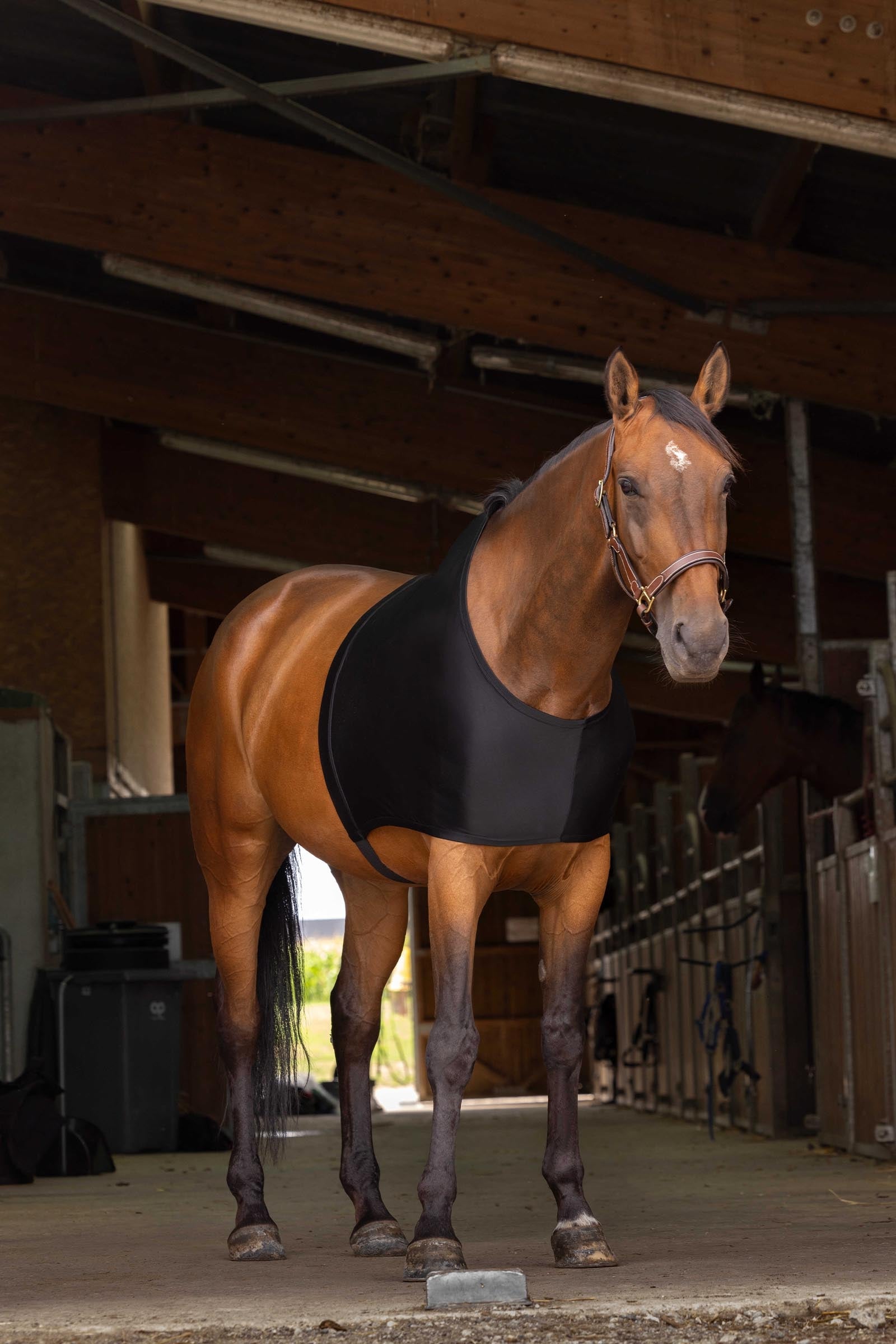 EQUITHÈME Shoulder Protection Horse Rugs