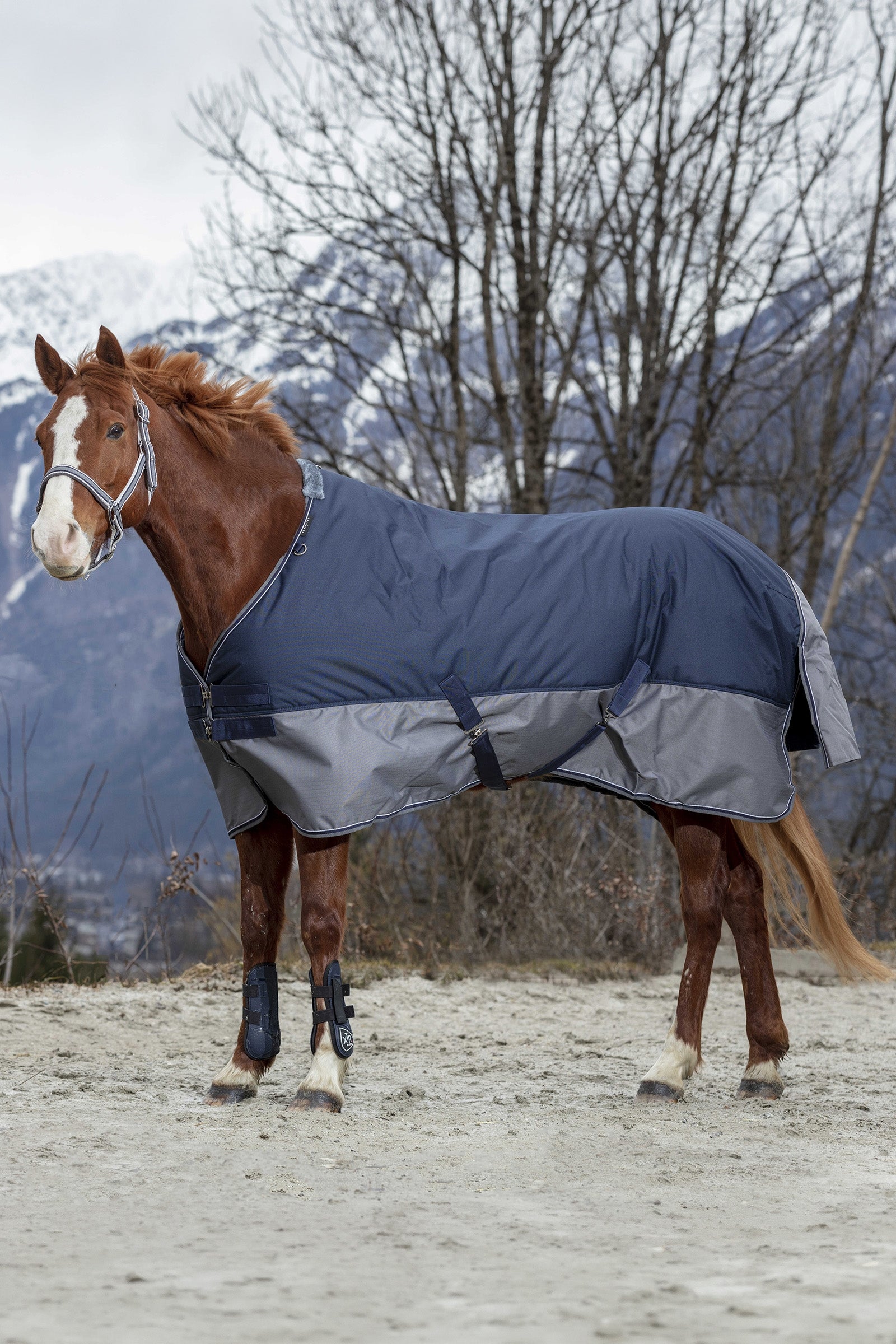 EQUITHÈME TYREX 600D Turnout Rug, 300 g Horse Rugs