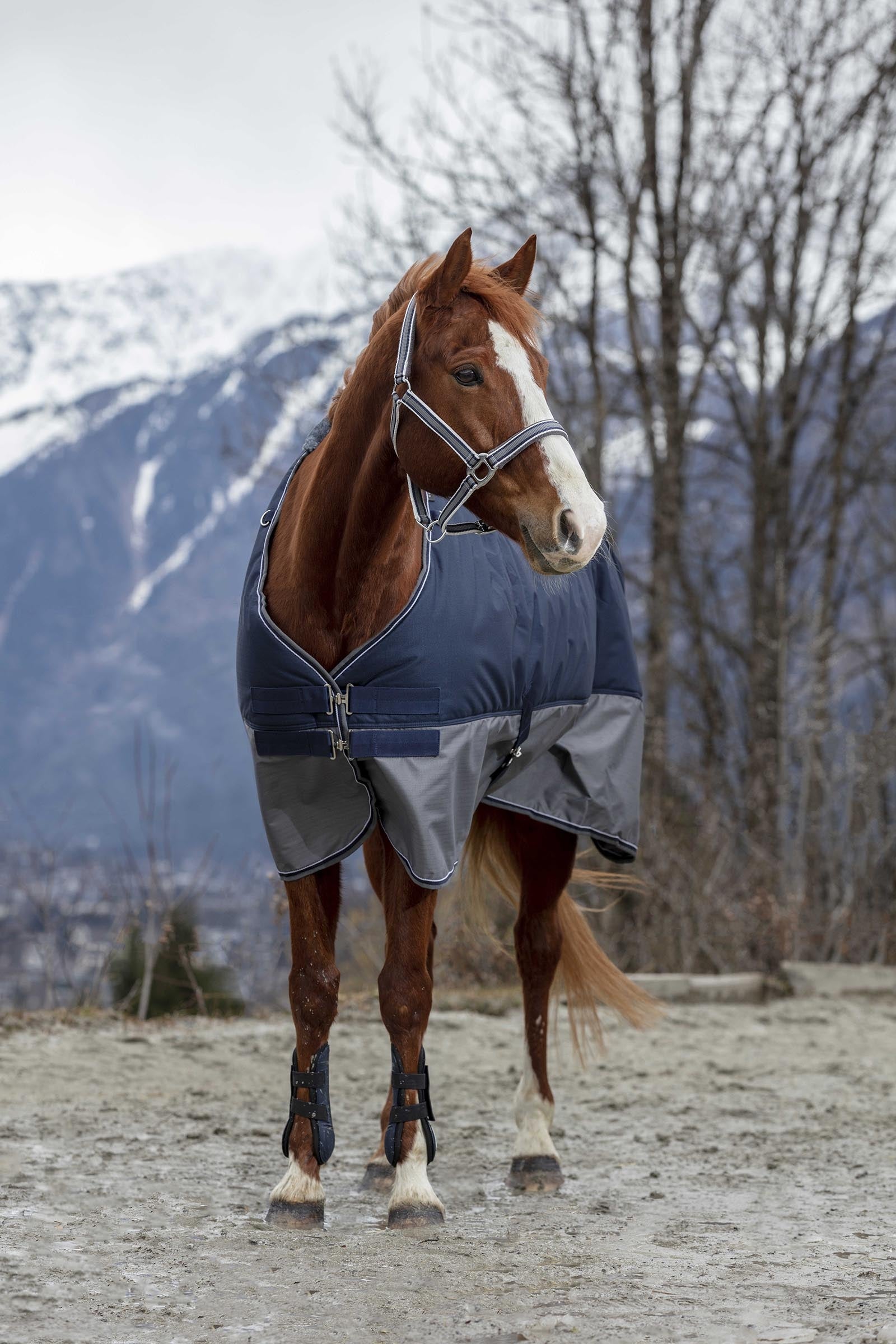 EQUITHÈME TYREX 600D Turnout Rug, 300 g Horse Rugs