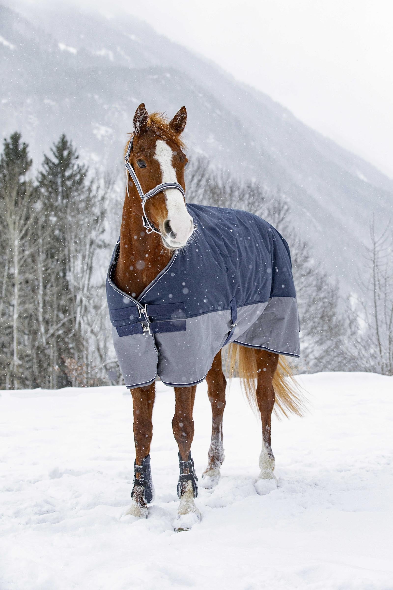 EQUITHÈME TYREX 600D Turnout Rug, 300 g Horse Rugs