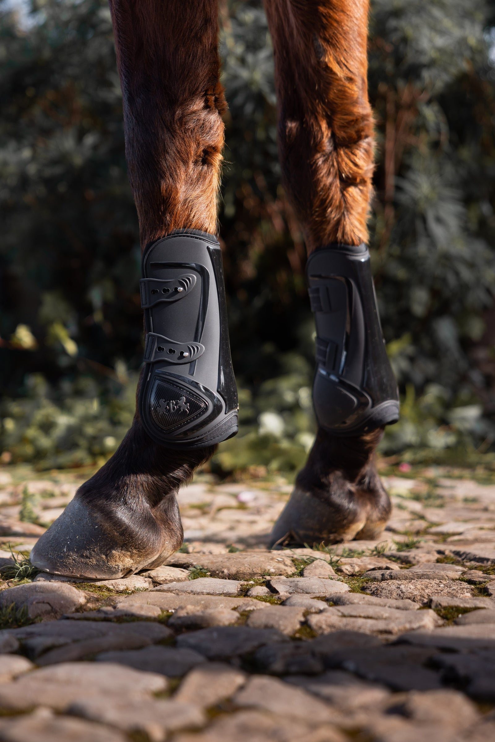 B Vertigo Ocala Tendon Boots Leg & Hoof Protection