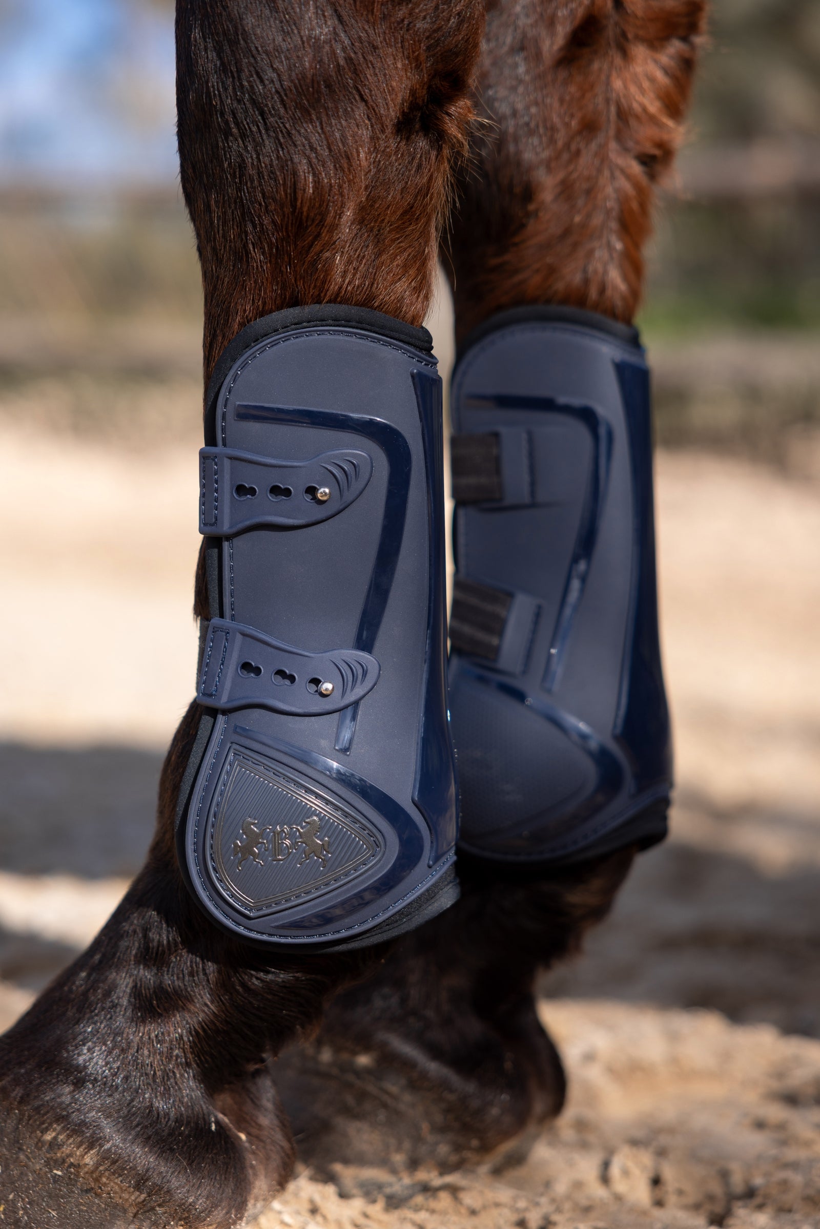 B Vertigo Ocala Tendon Boots Leg & Hoof Protection