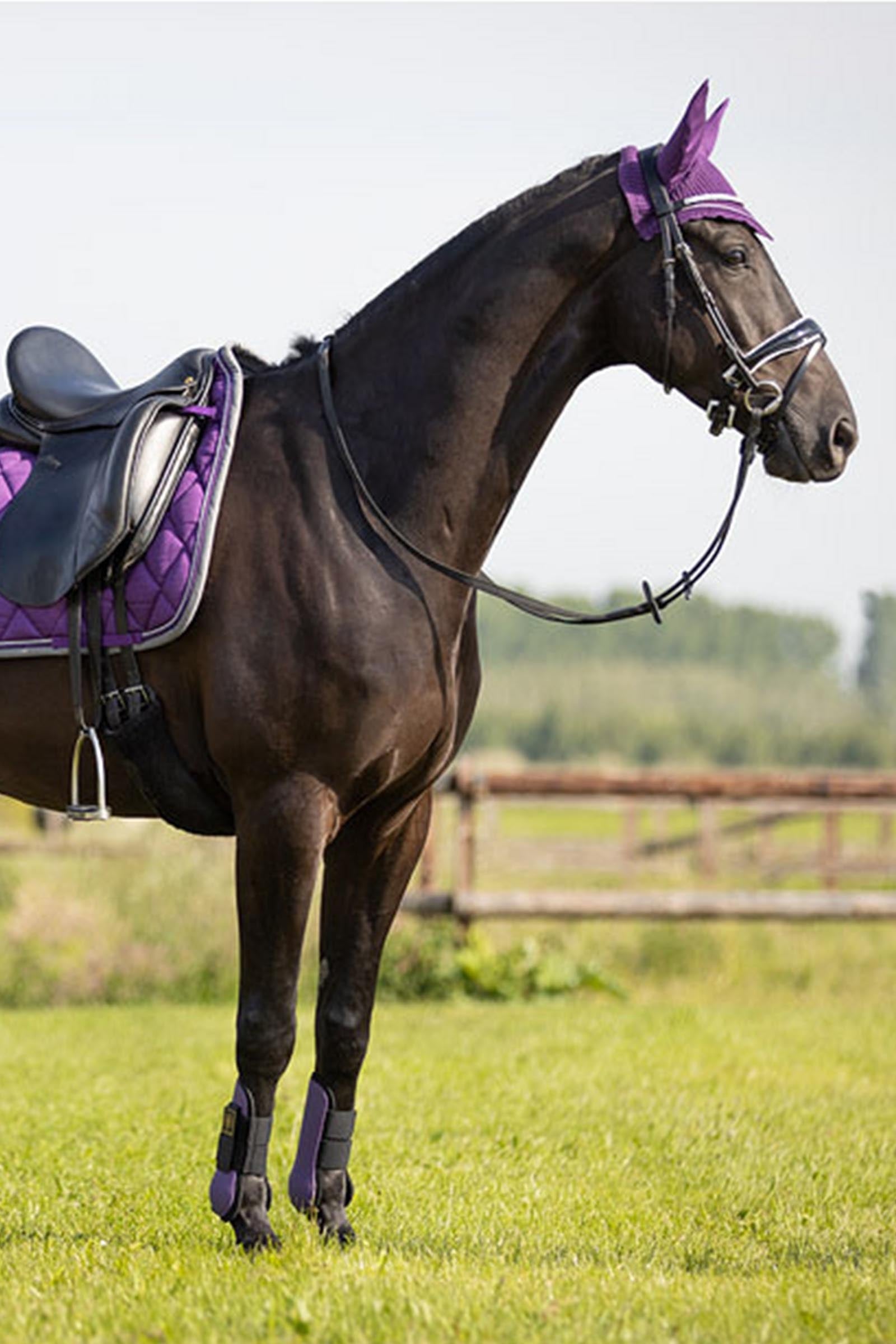 BR Event Cotton Ear Bonnet Saddle Pads