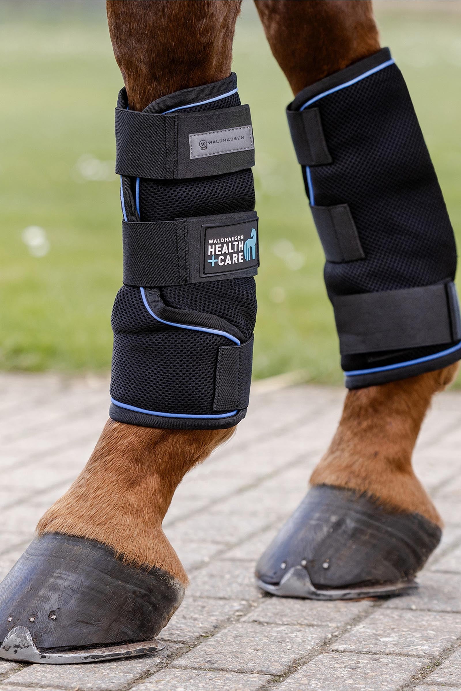 Waldhausen Health + Care Ice Layer Boot (pair) Leg Protection & Hoof Protection for Horses