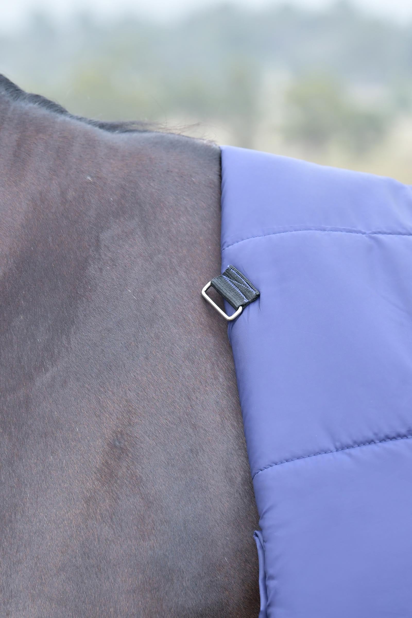 Weatherbeeta Comfitec Essential Turnout Rug With Fixed Neck, 220g Horse Rugs