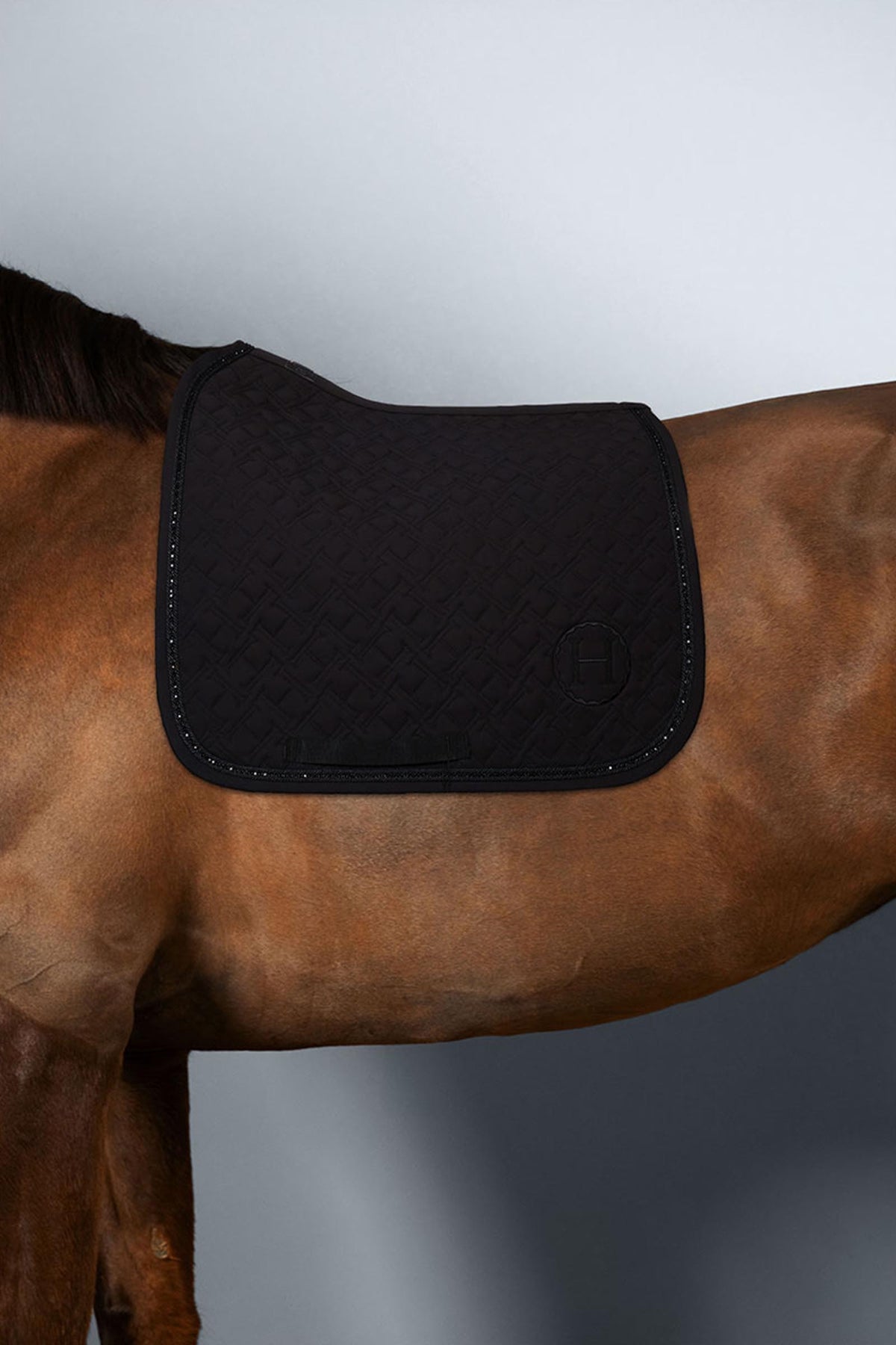 Harcour Saphir Saddle Pad Dressage Saddle Pads