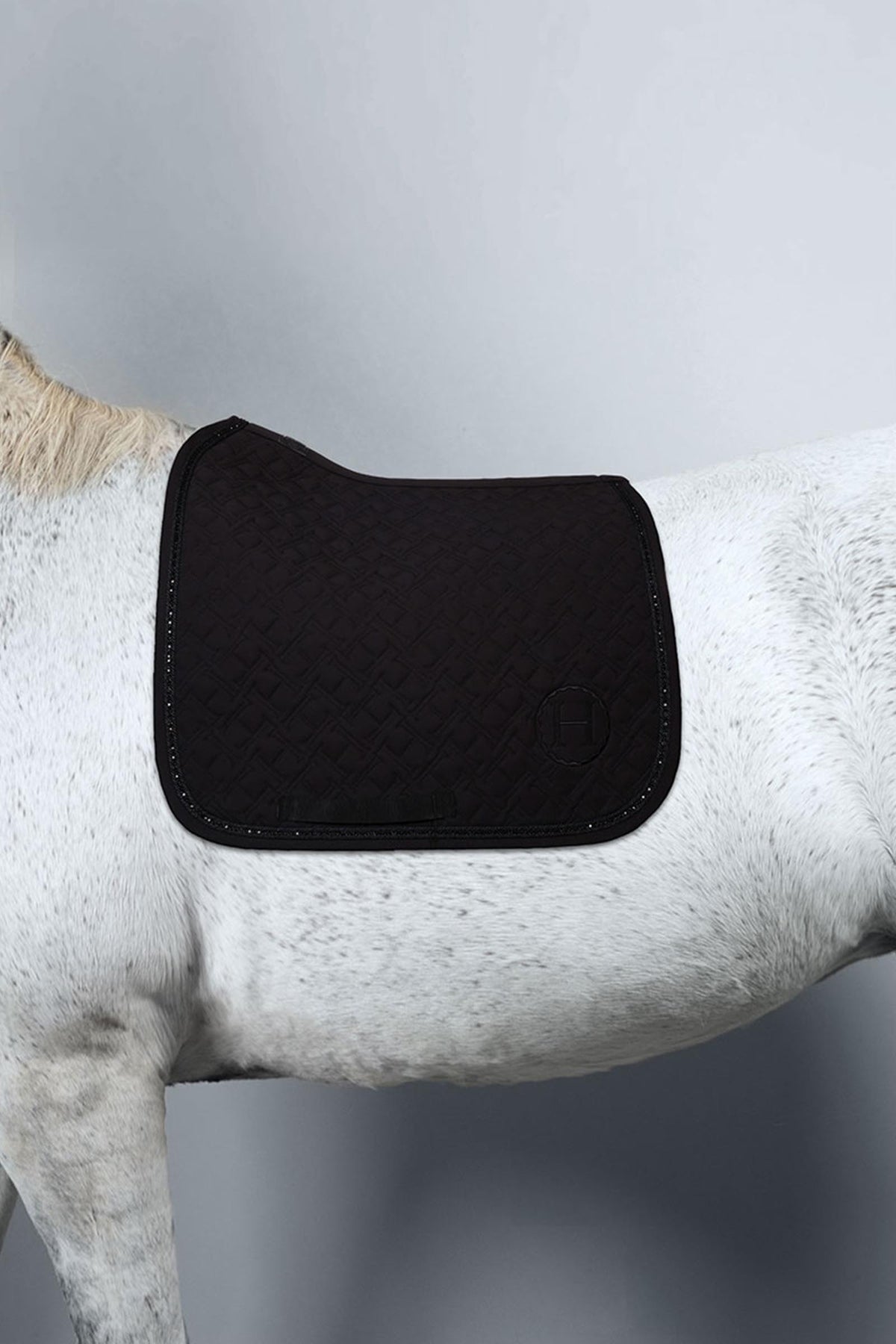 Harcour Saphir Saddle Pad Dressage Saddle Pads