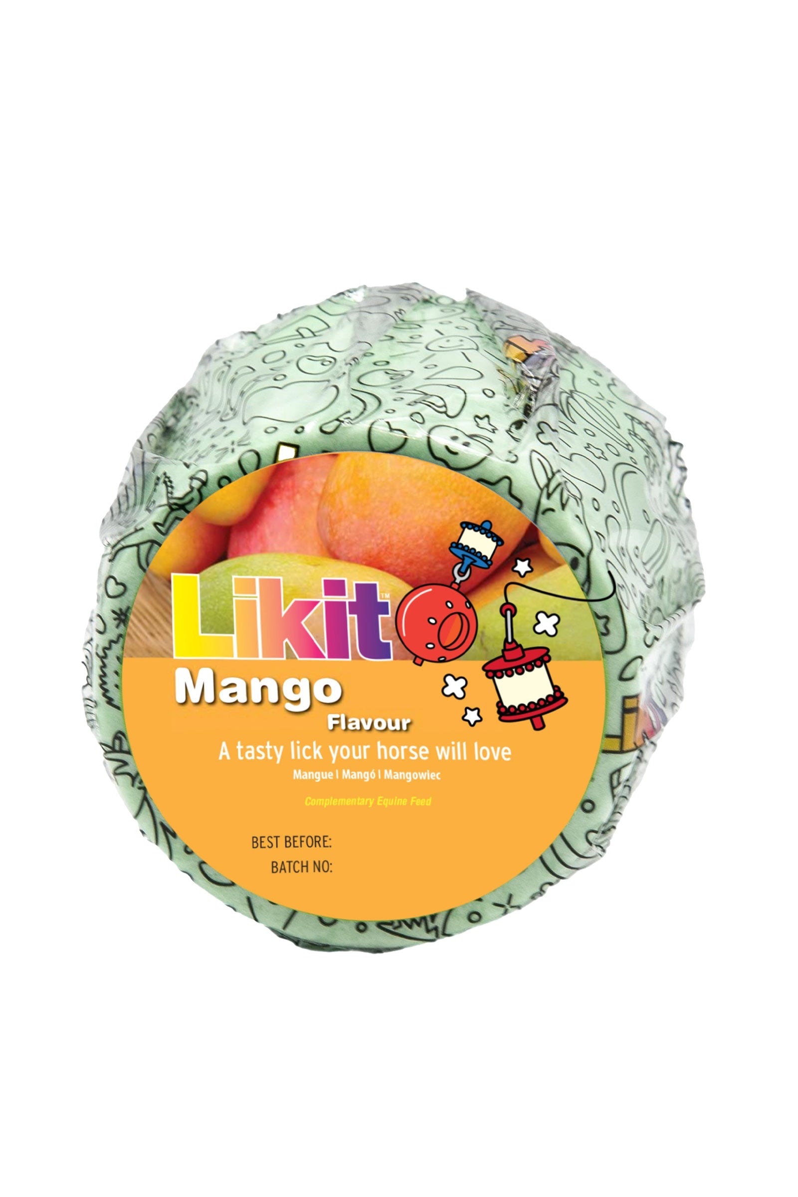 Alt Tag fallback text for IMAGE