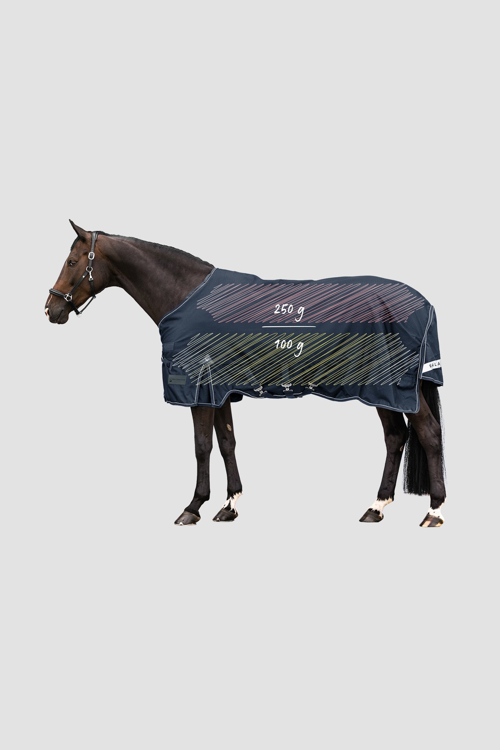 Waldhausen Outdoor Rug Scandic Multi-Layer 250 g/100 g Horse Rugs