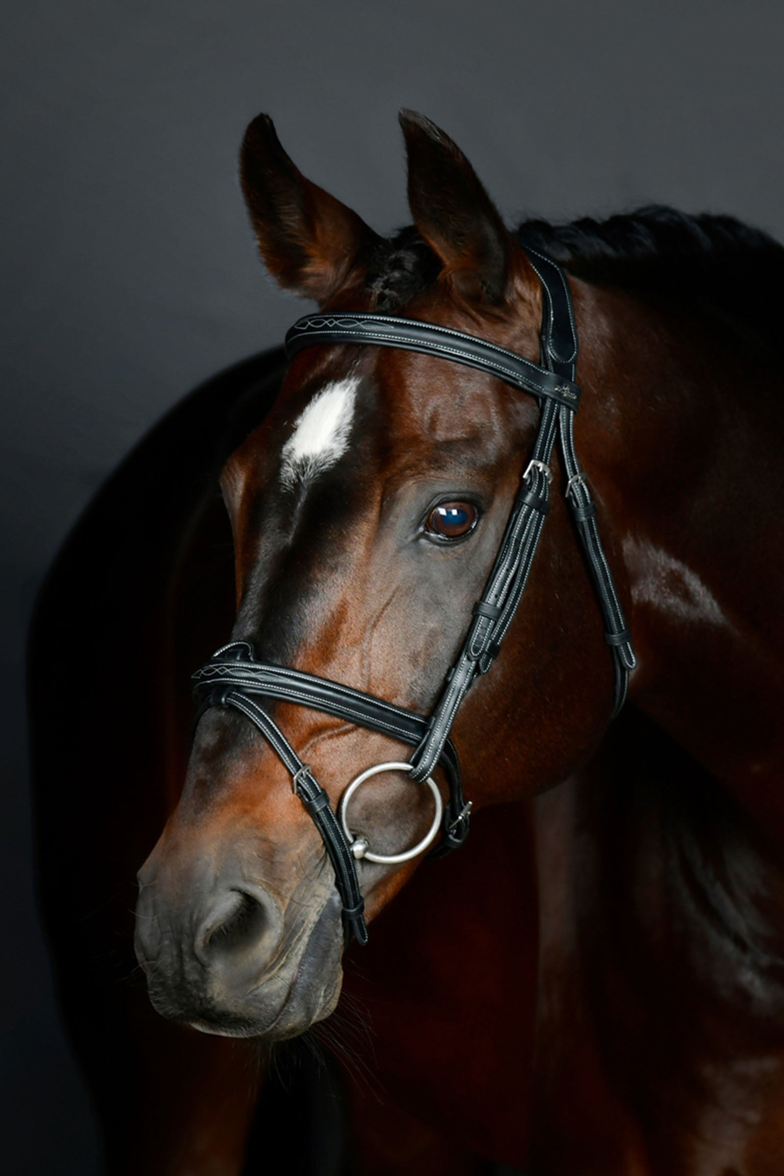Collegiate Comfitec Opulux Fancy Stitch Padded Hanoverian Bridle Bridles & Reins