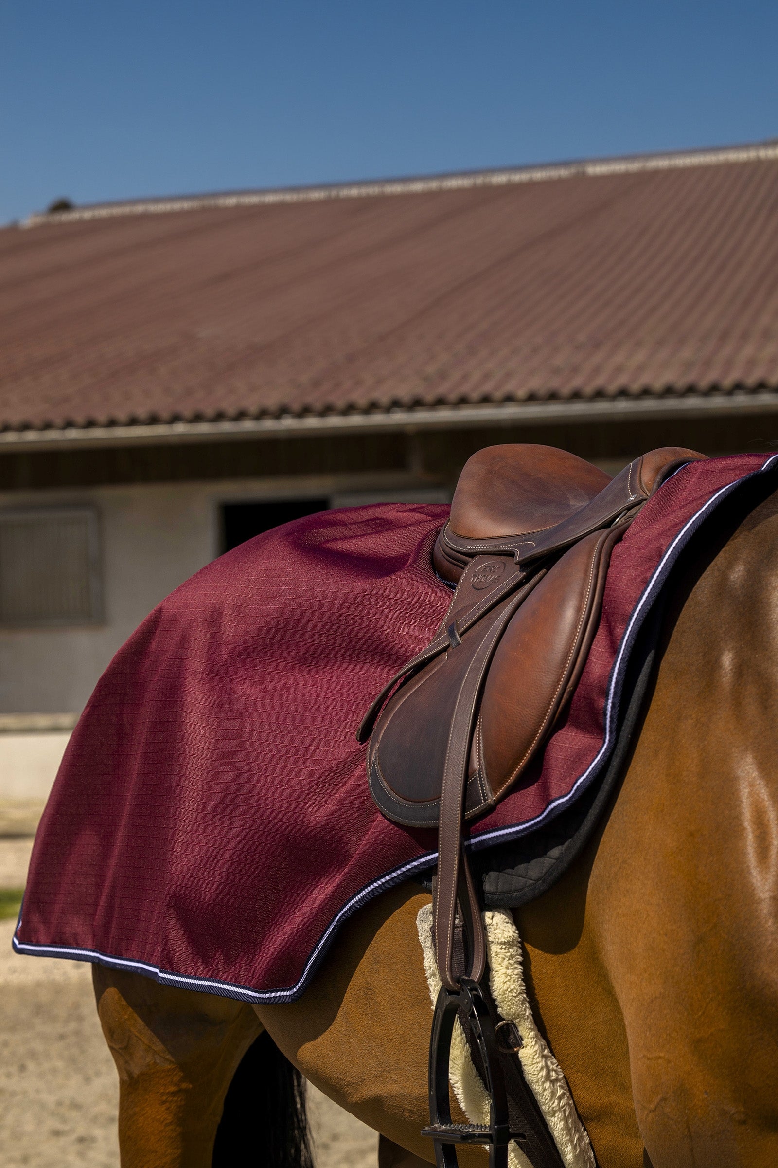 EQUITHÈME TYREX Aisance 1200D Exercice Rug Horse Rugs