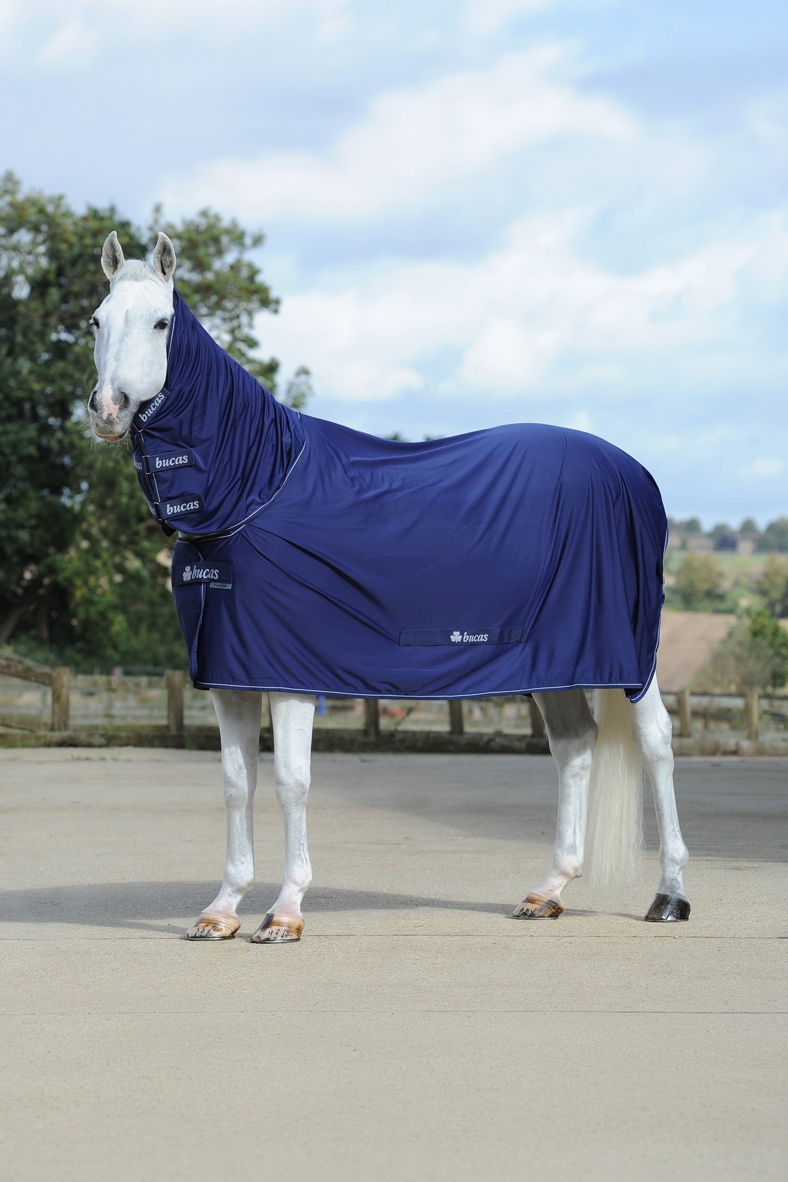 Bucas Power Cooler + Neck Set Horse Rugs