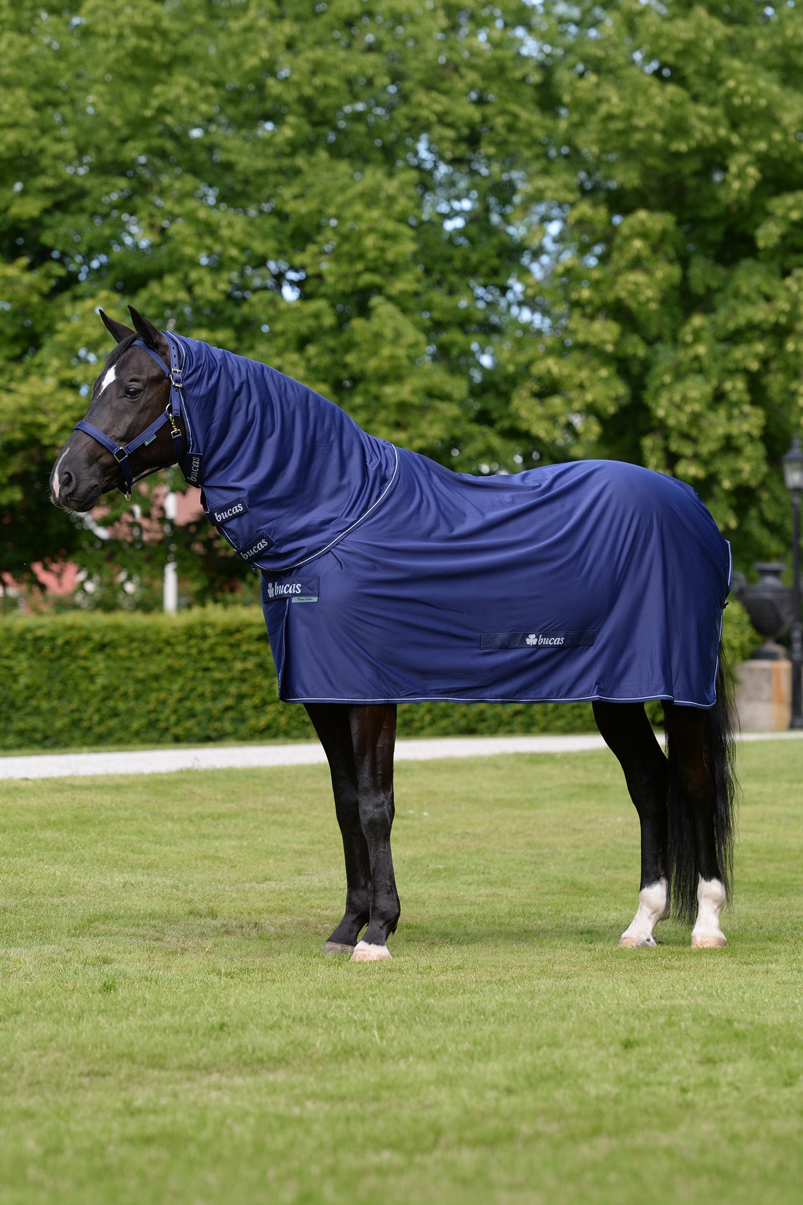 Bucas Power Cooler + Neck Set Horse Rugs