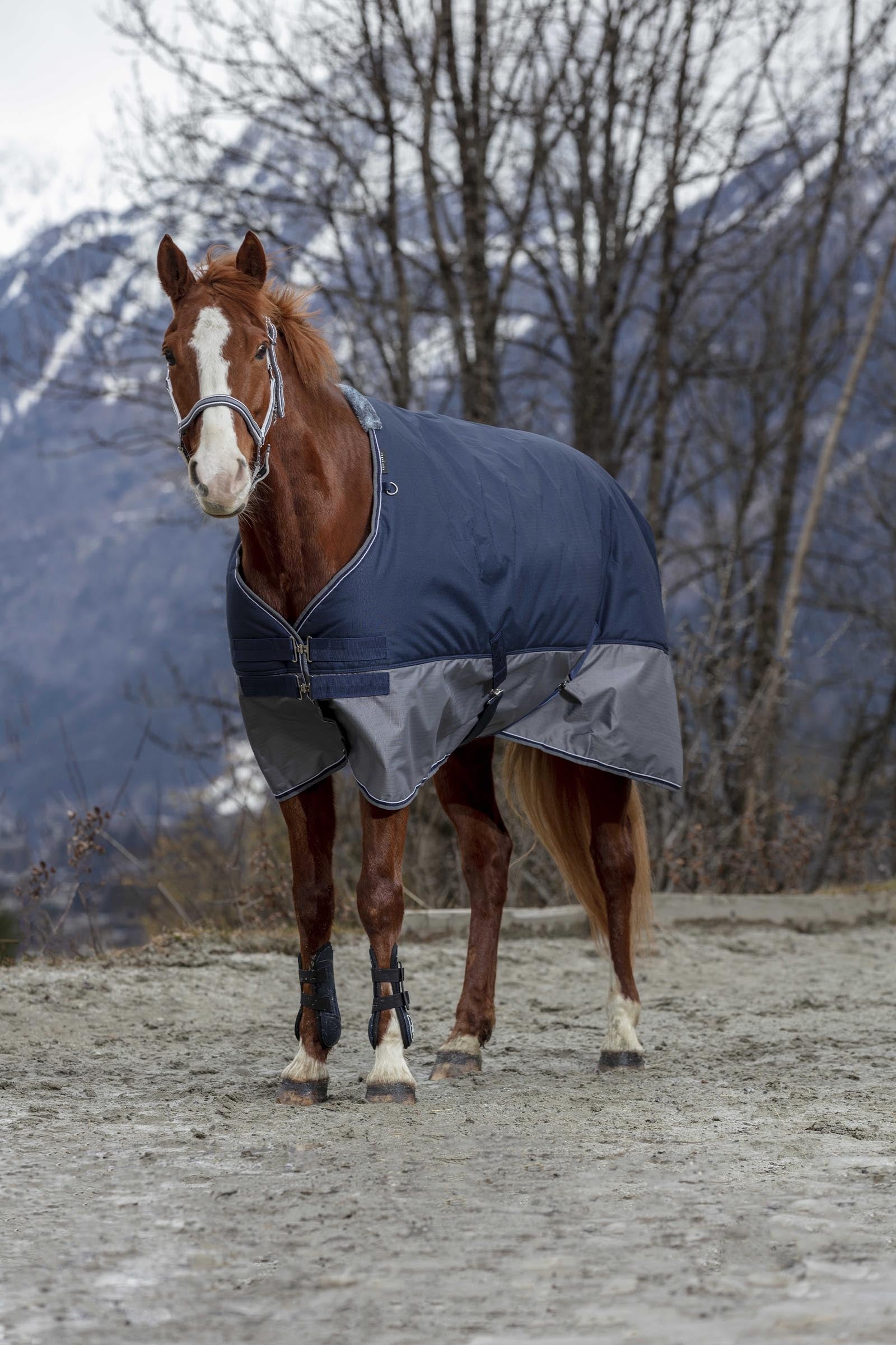 EQUITHÈME TYREX 600D Turnout Rug, 0 g Horse Rugs